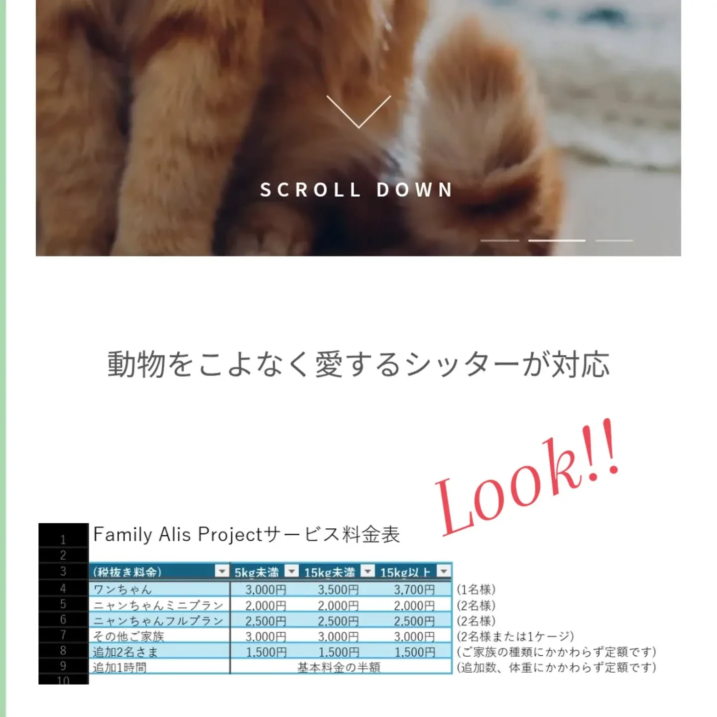 おはようございます！