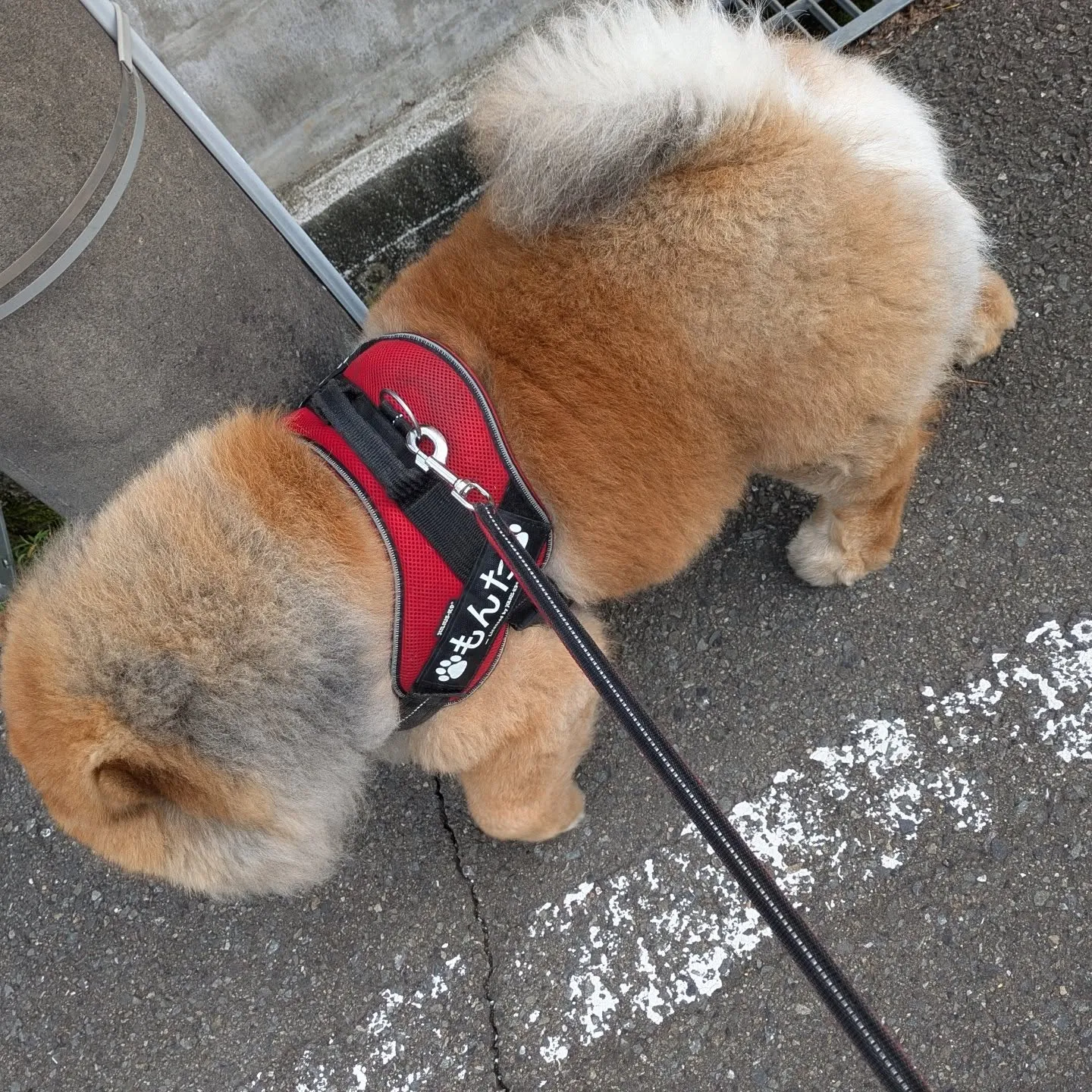 おはようございます！