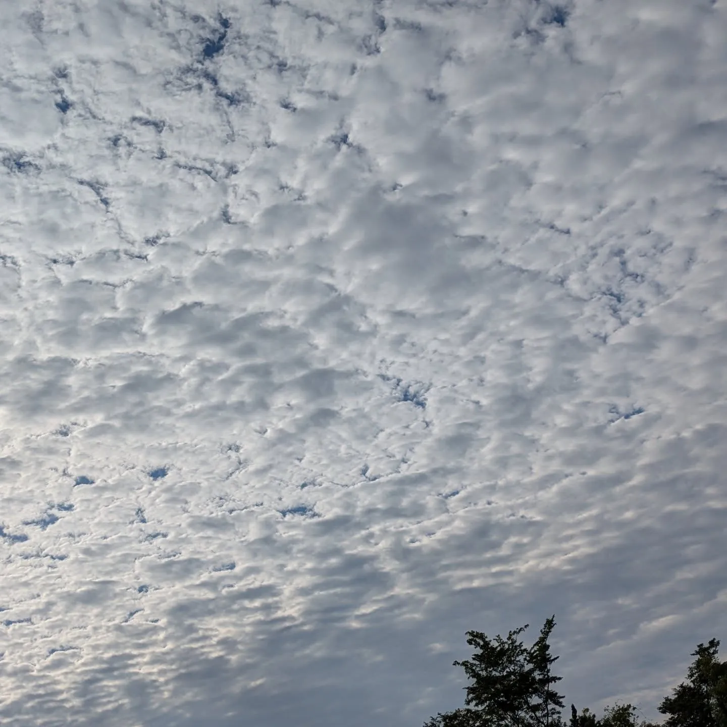 おはようございます！