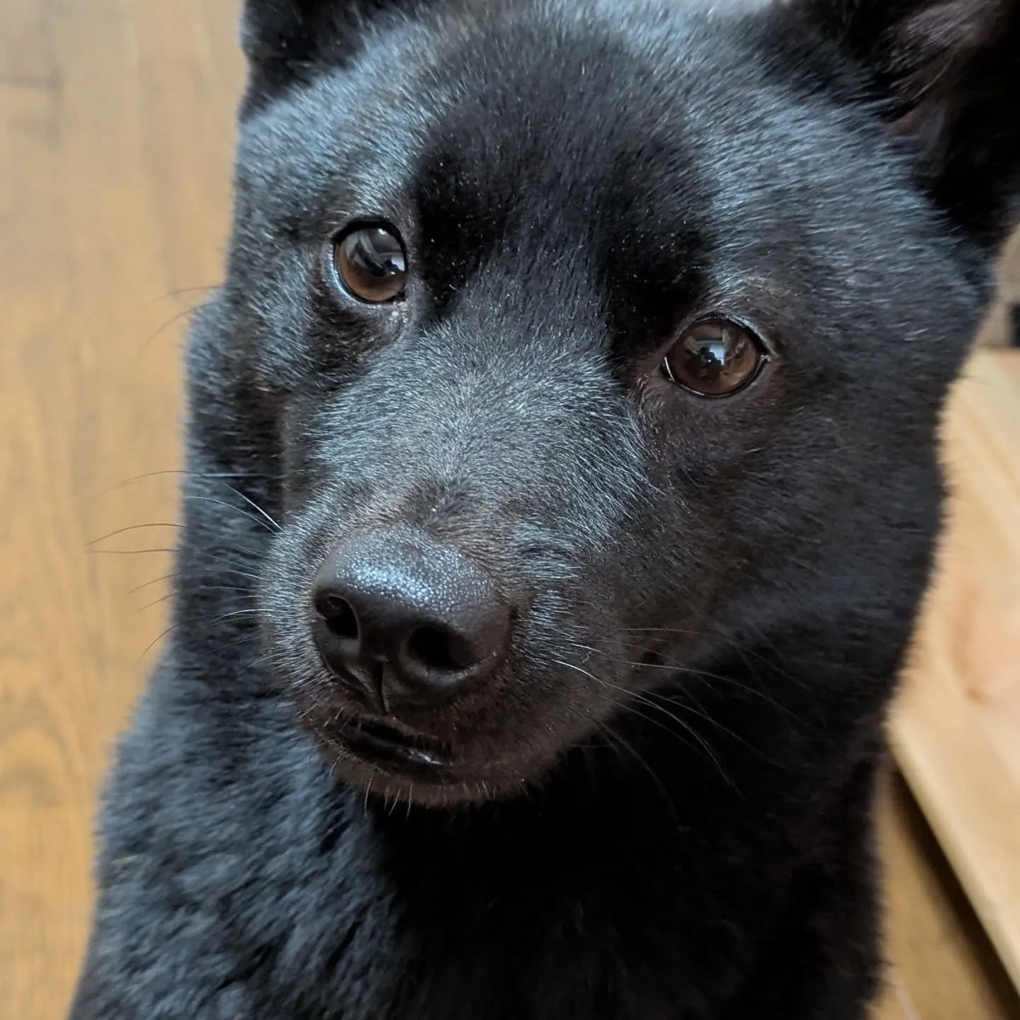 おはようございます！(もうお昼時ですが。