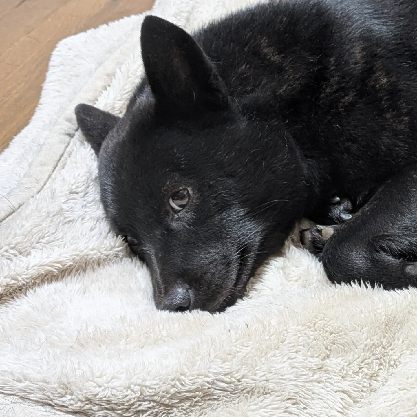 おはようございます!