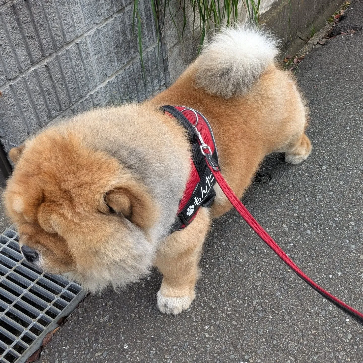 おはようございます！