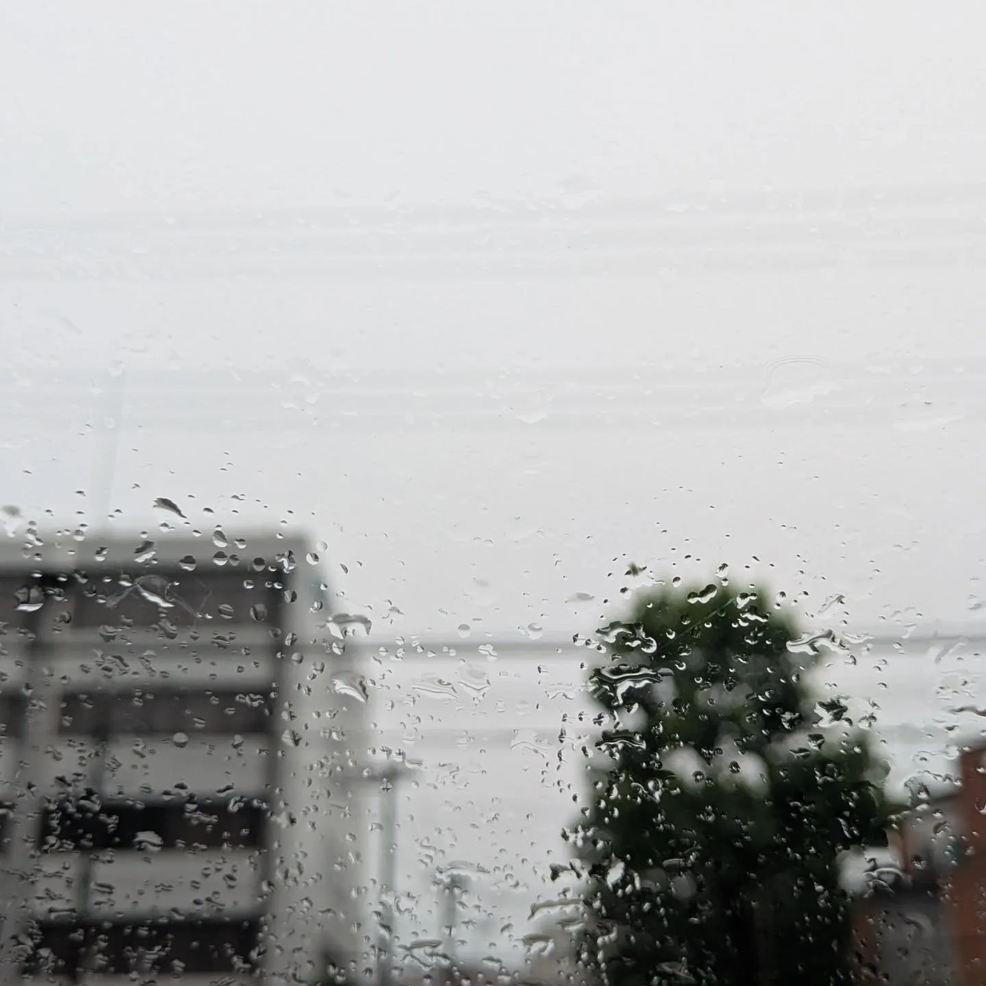 おはようございます！