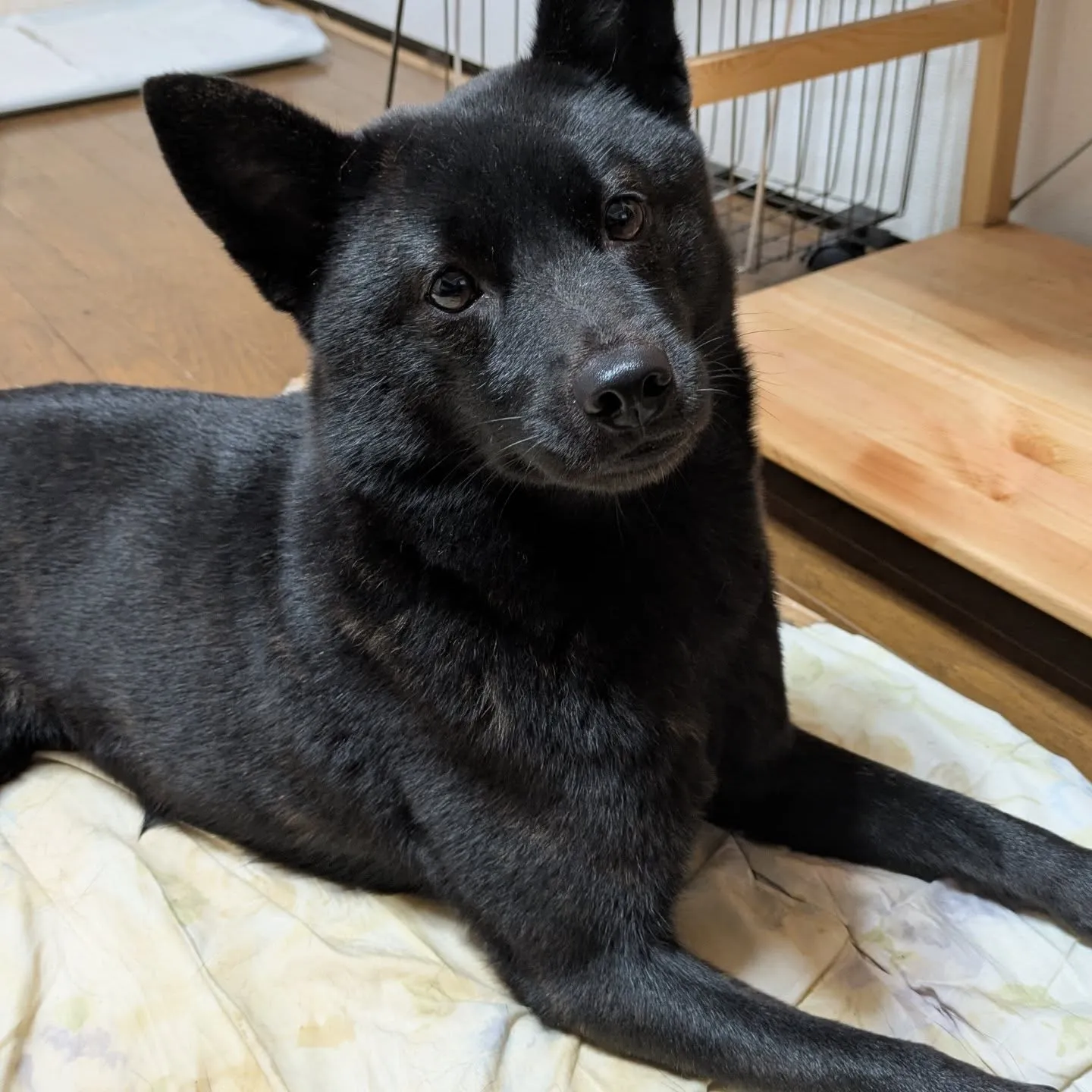 おはようございます！