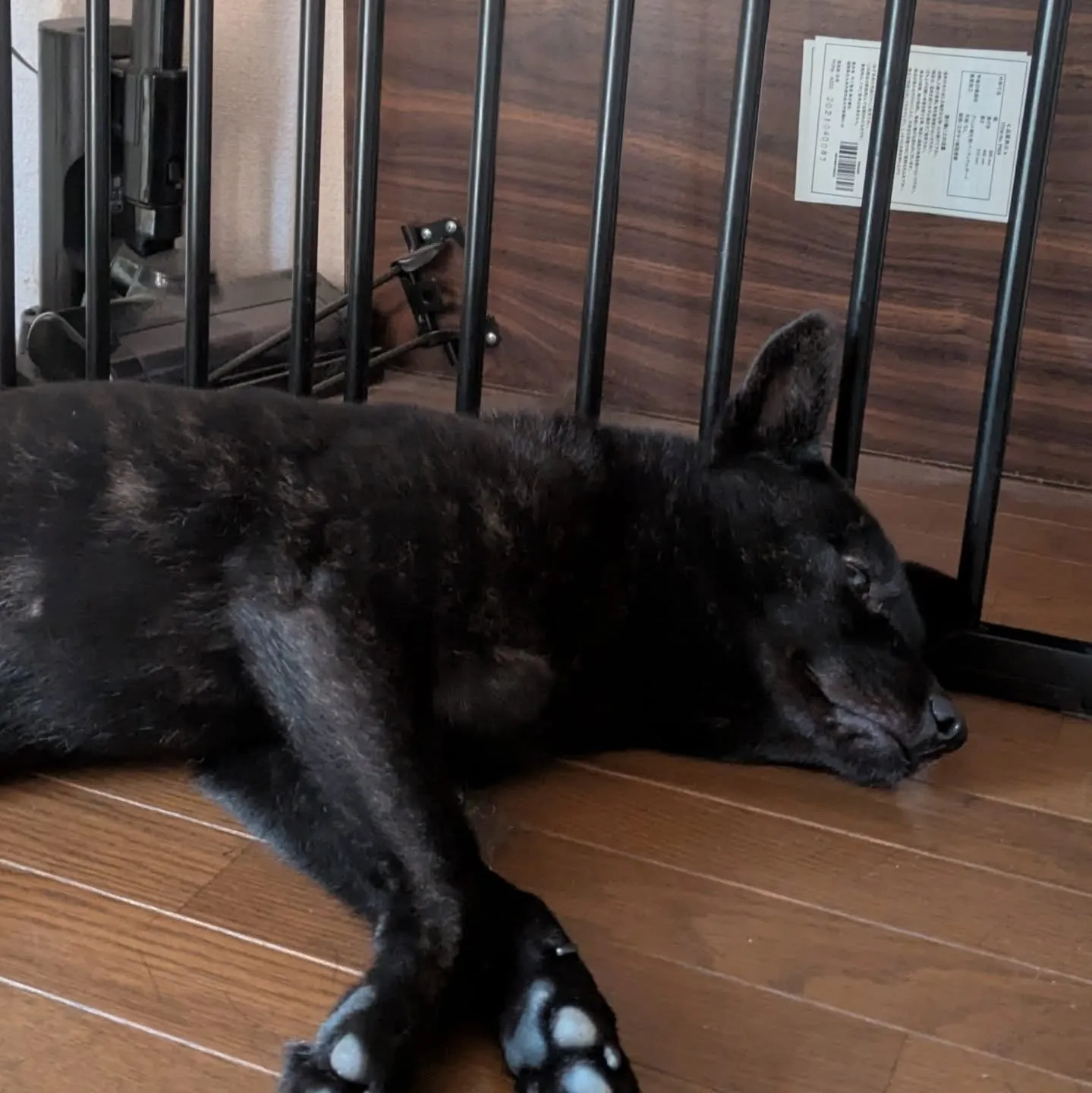 おはようございます!