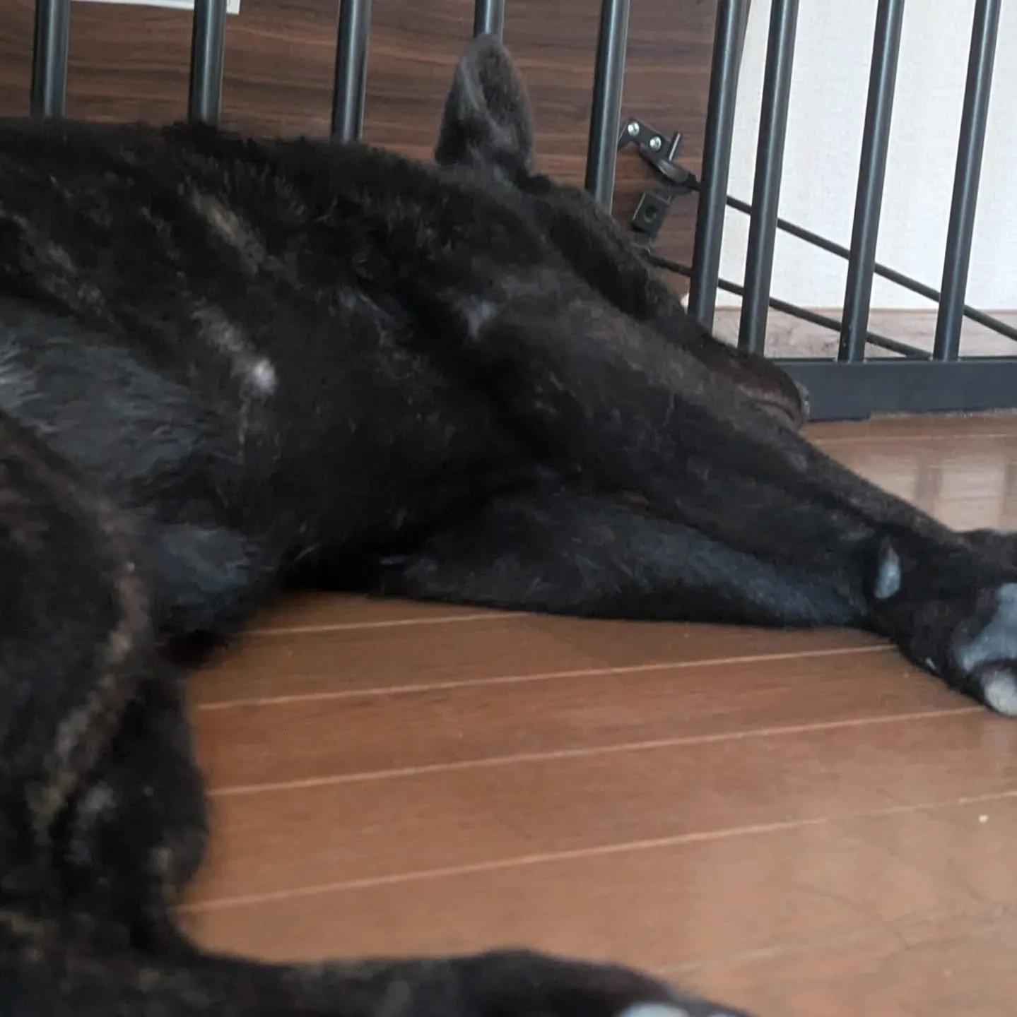 おはようございます!