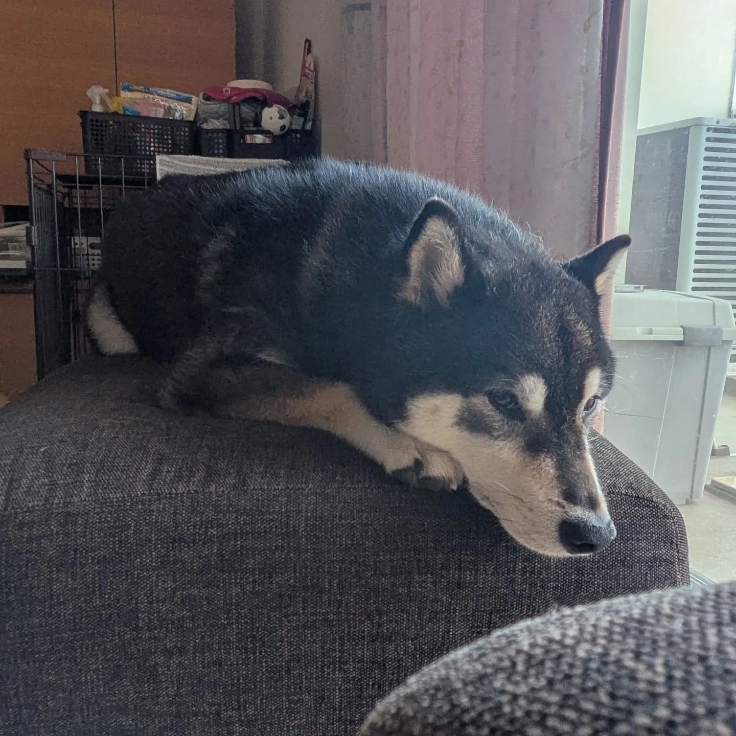 おはようございます!