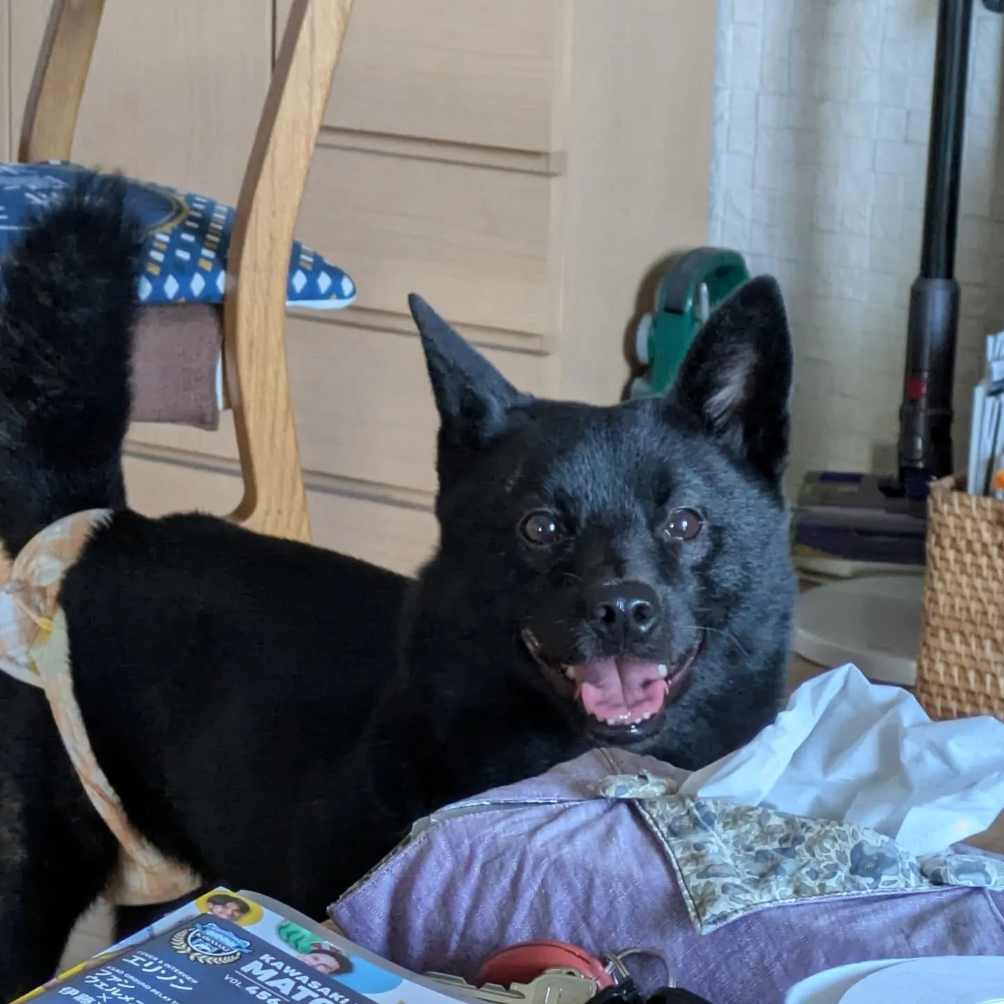 おはようございます!