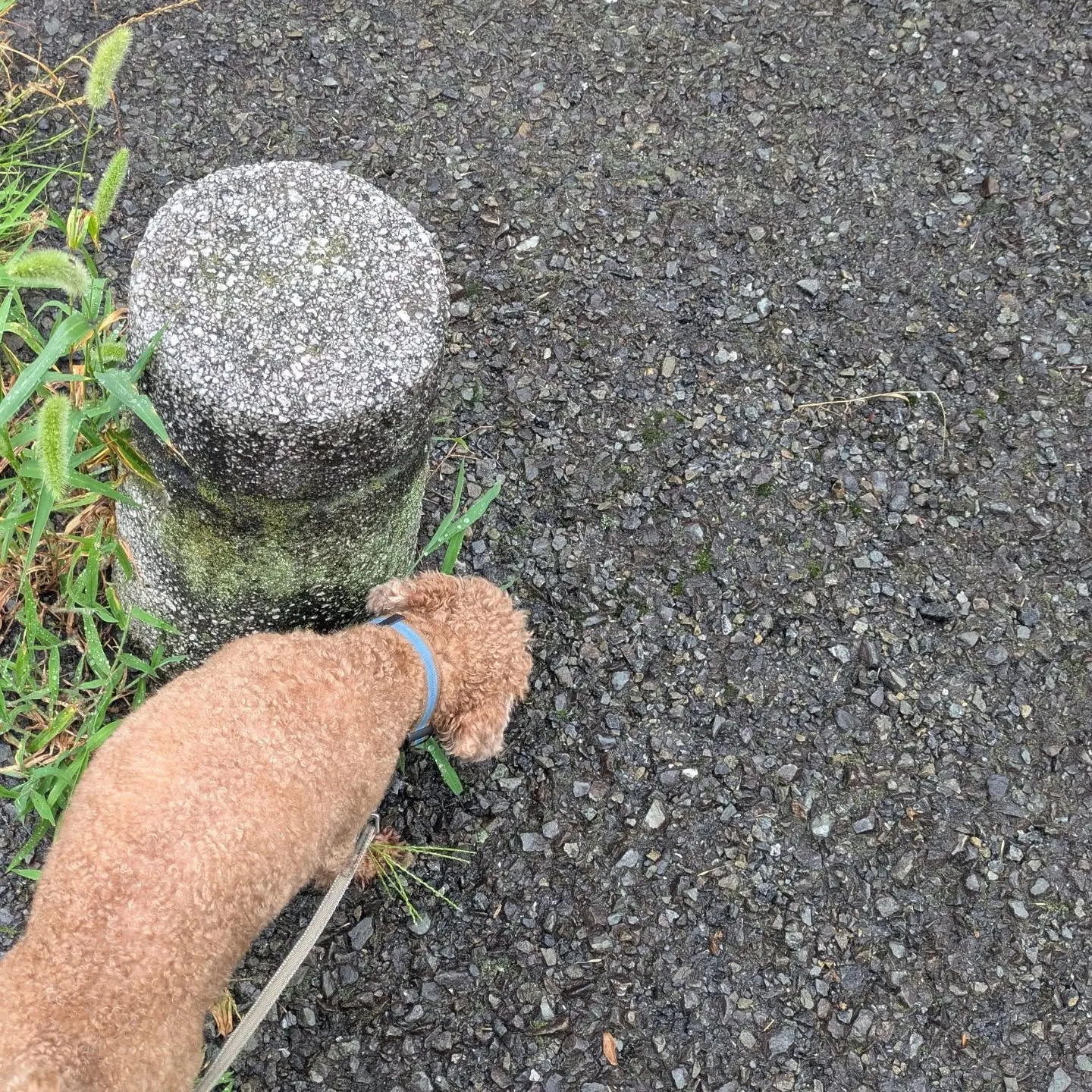 おはようございます！