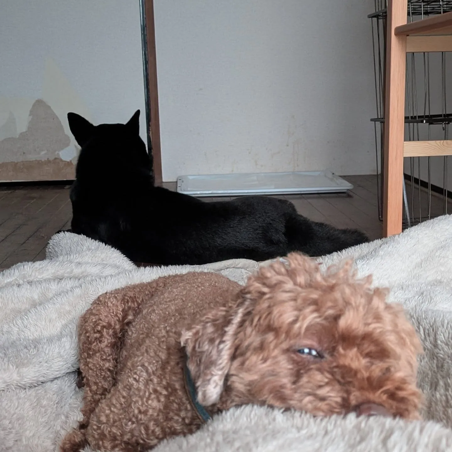 おはようございます！