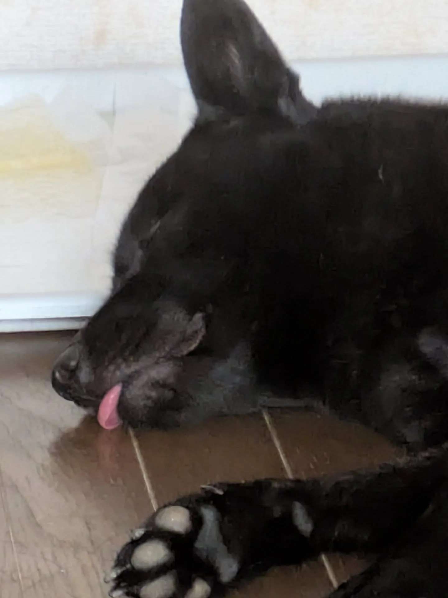 おはようございます！