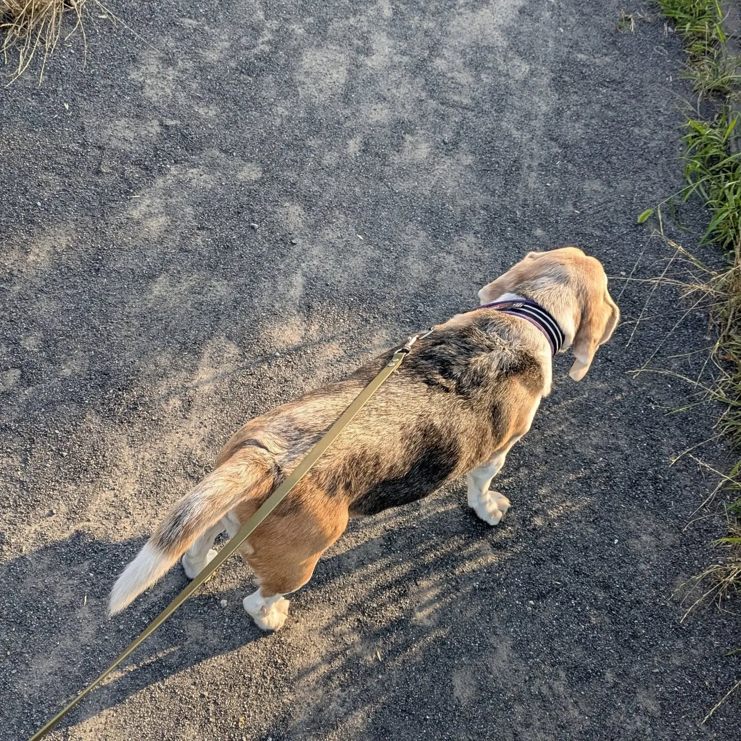 2発目のお世話は府中市！