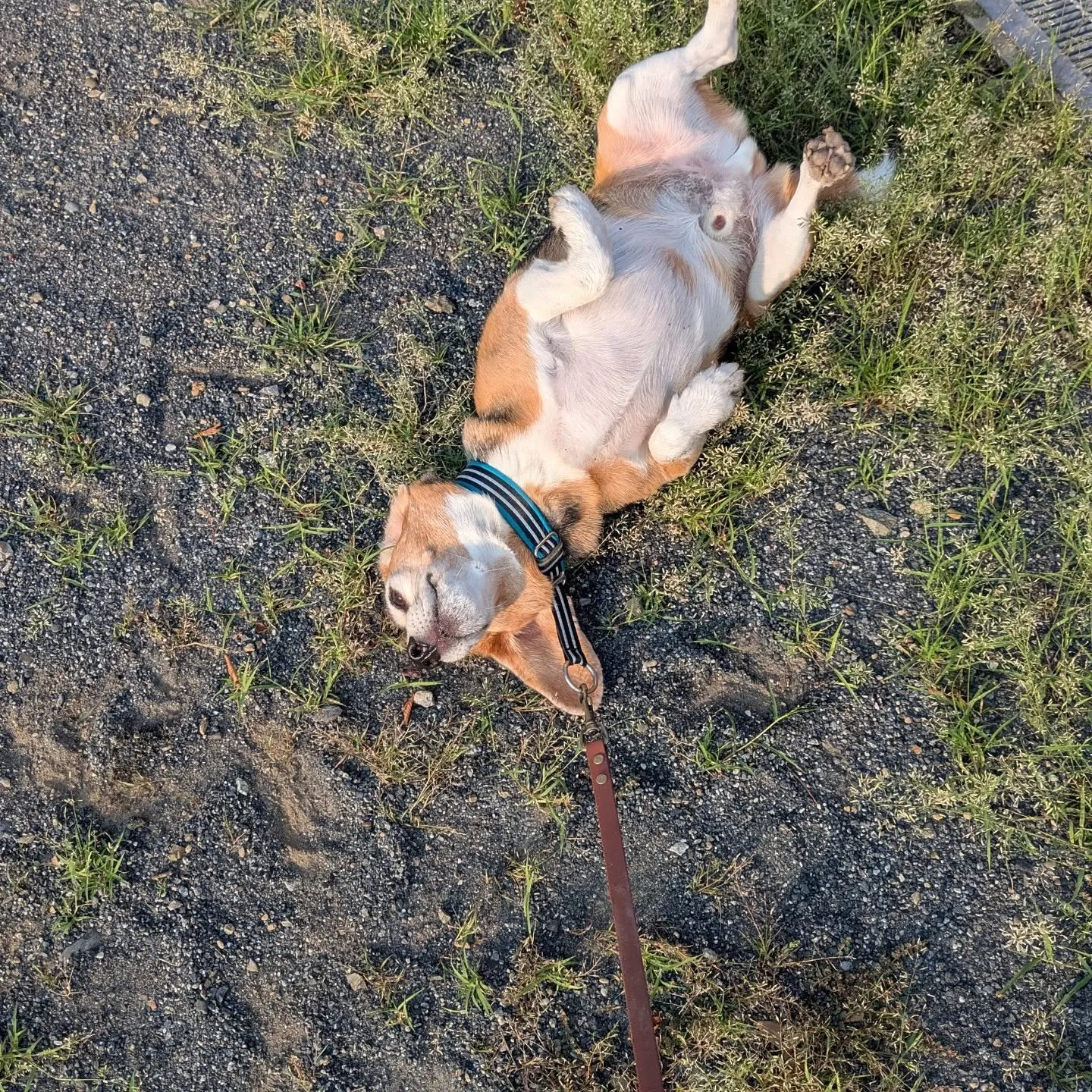 2発目のお世話は府中市！