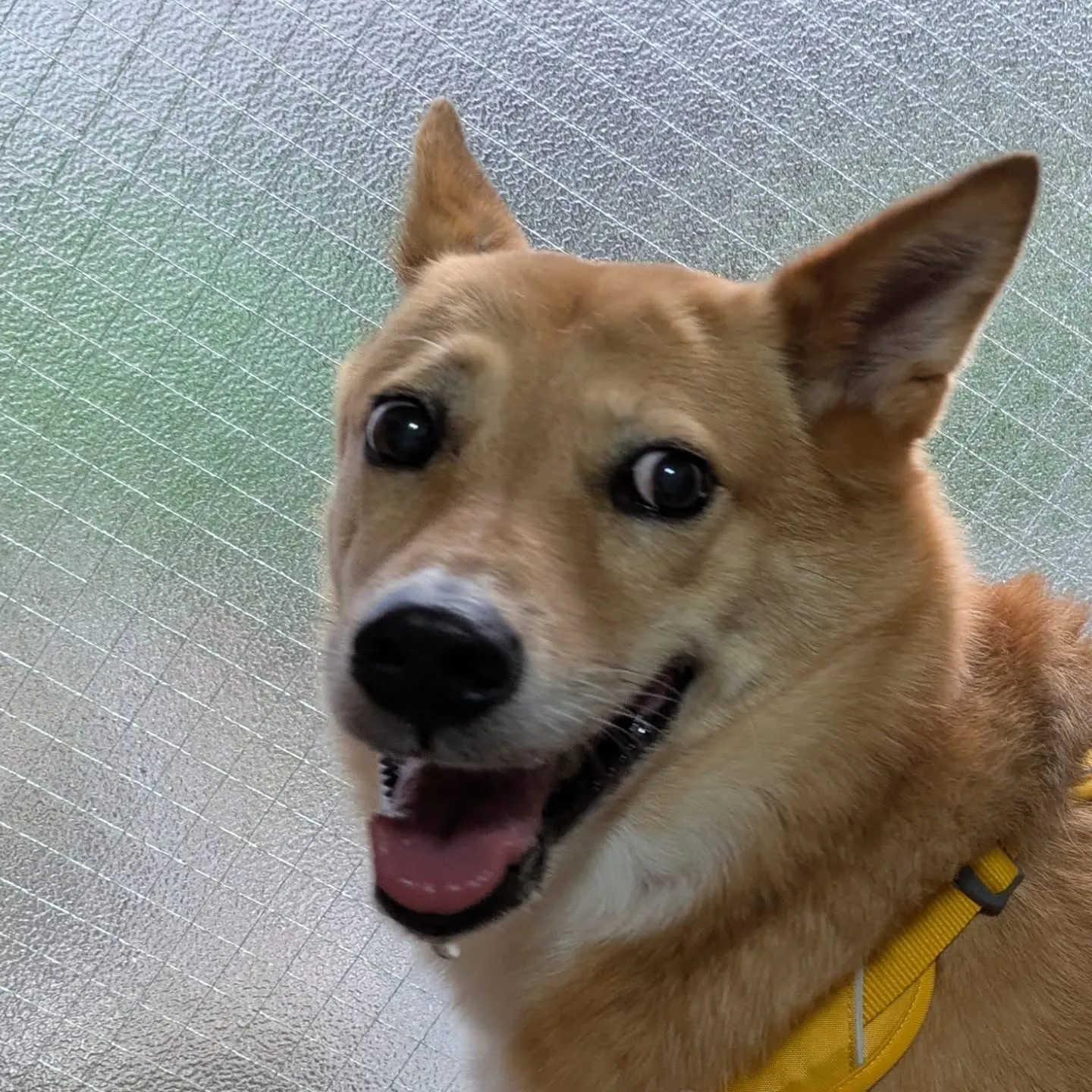 おはようございます！