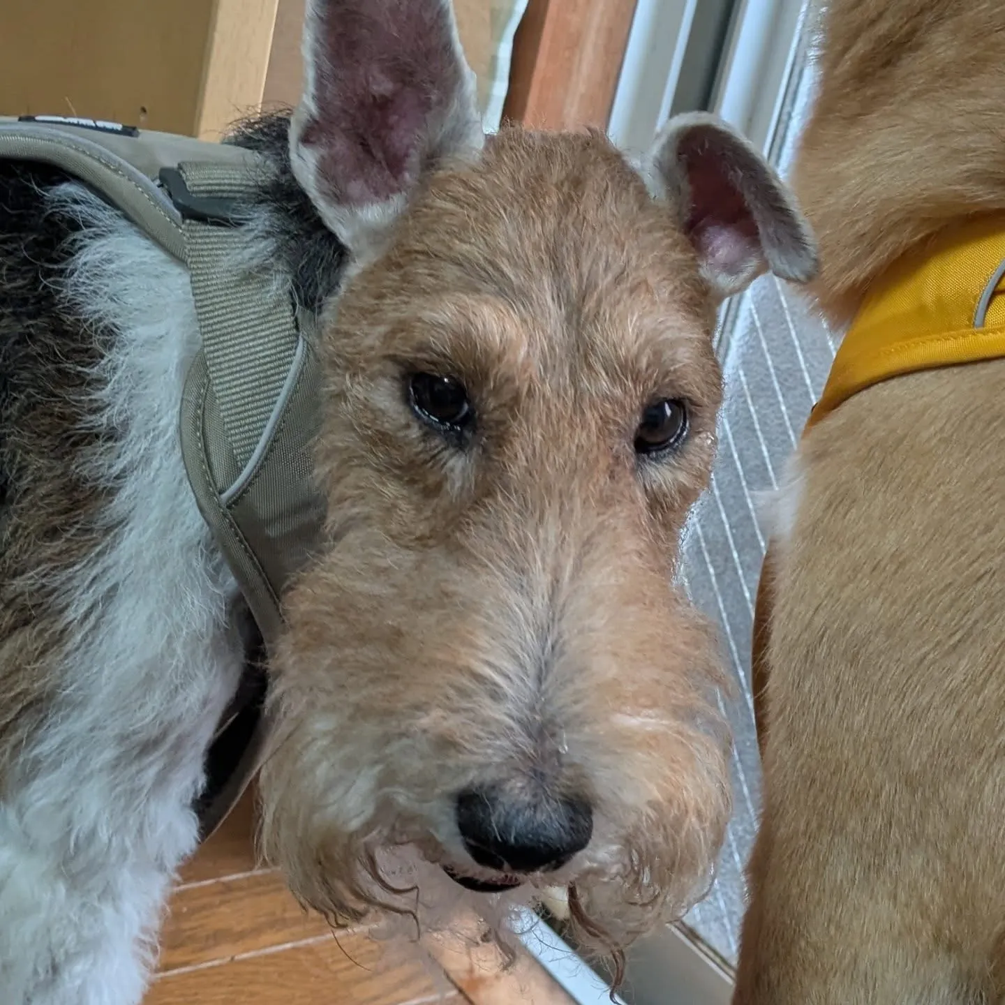 おはようございます！