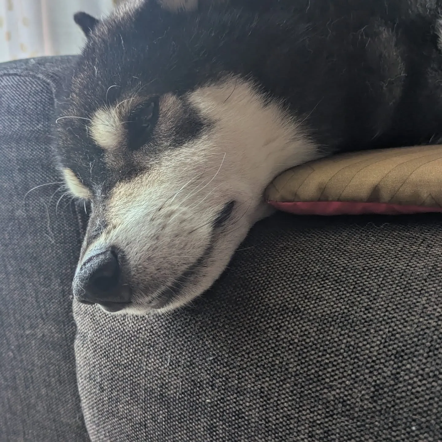 おはようございます。