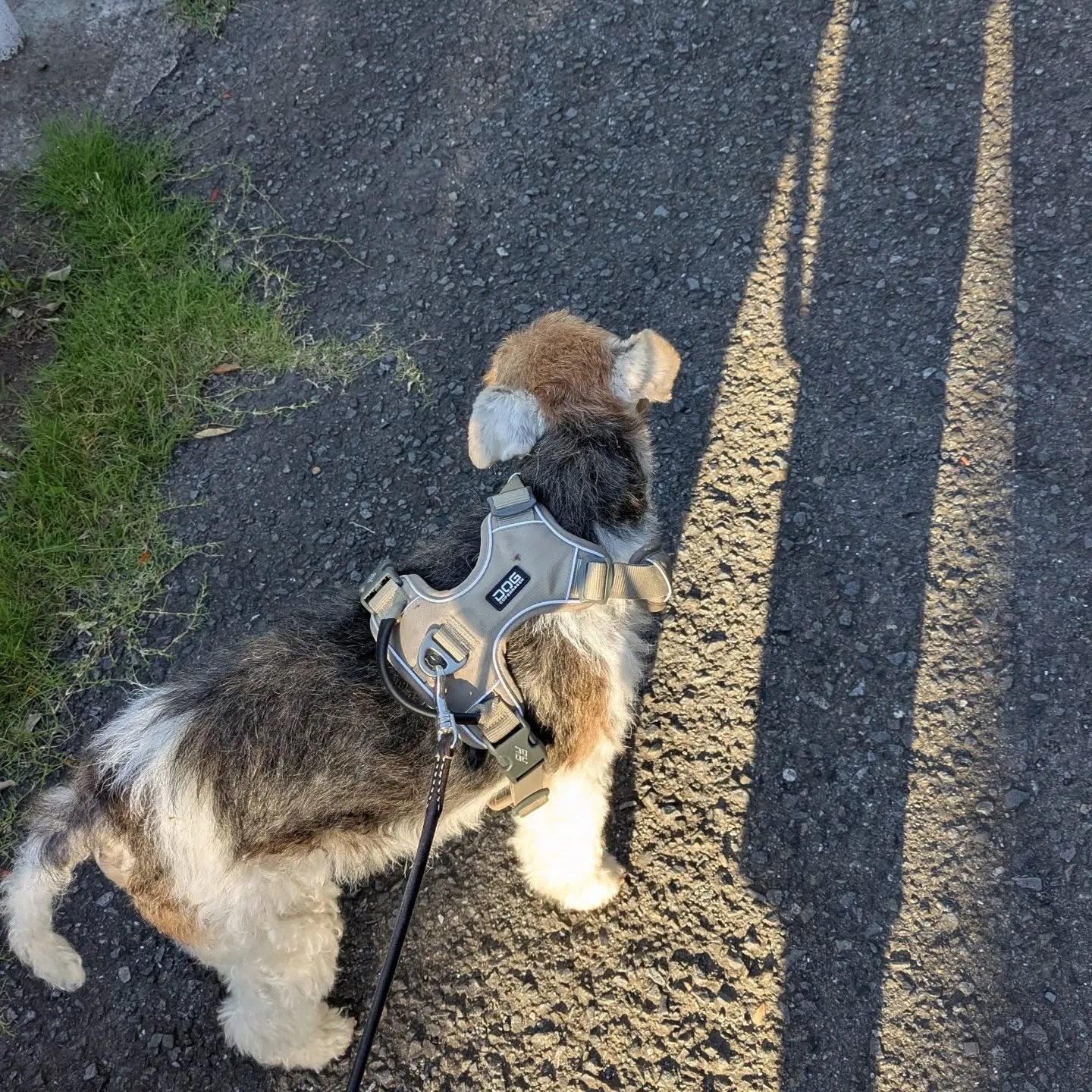 おはようございます！