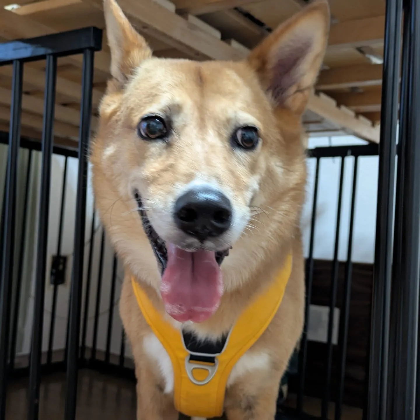 おはようございます！