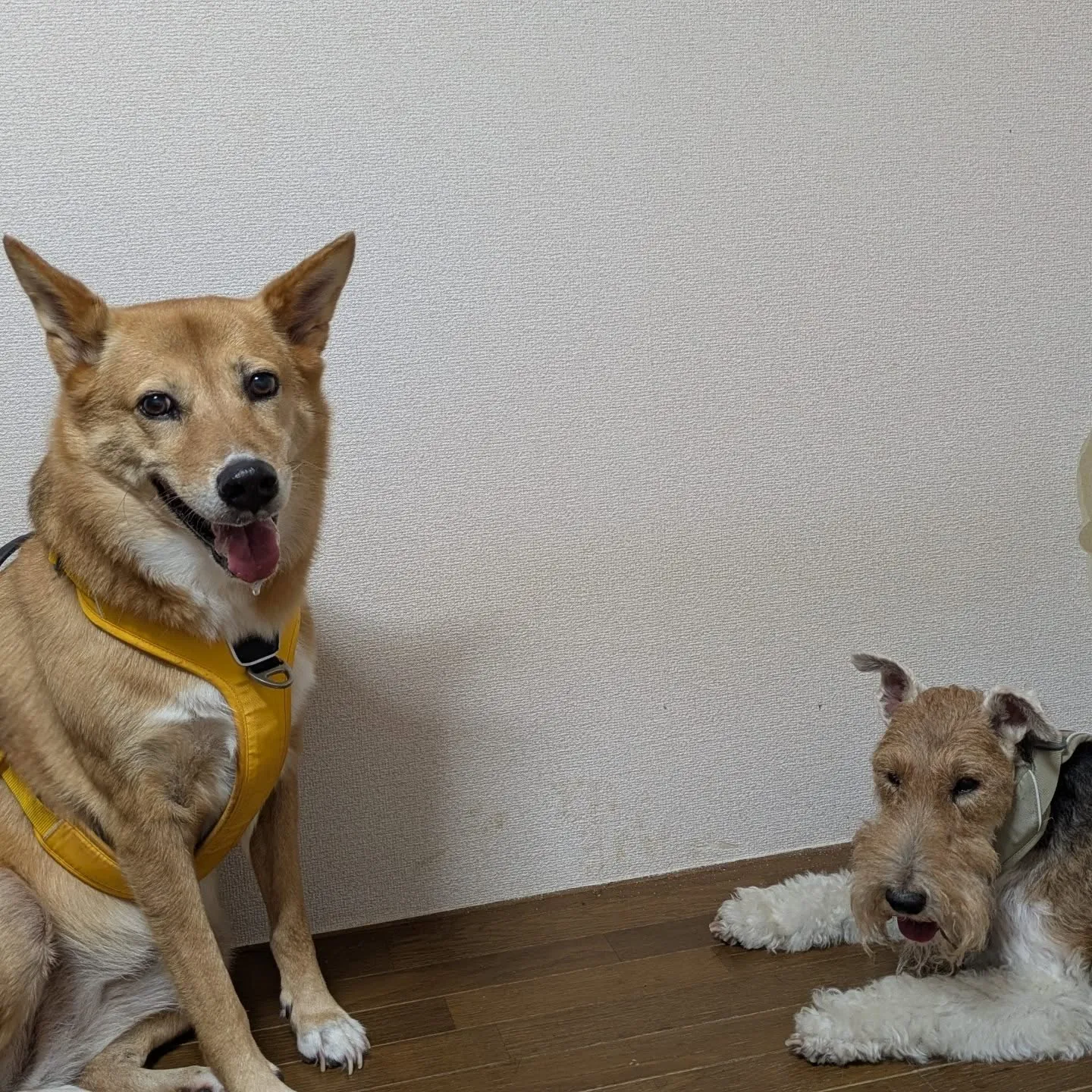 おはようございます！