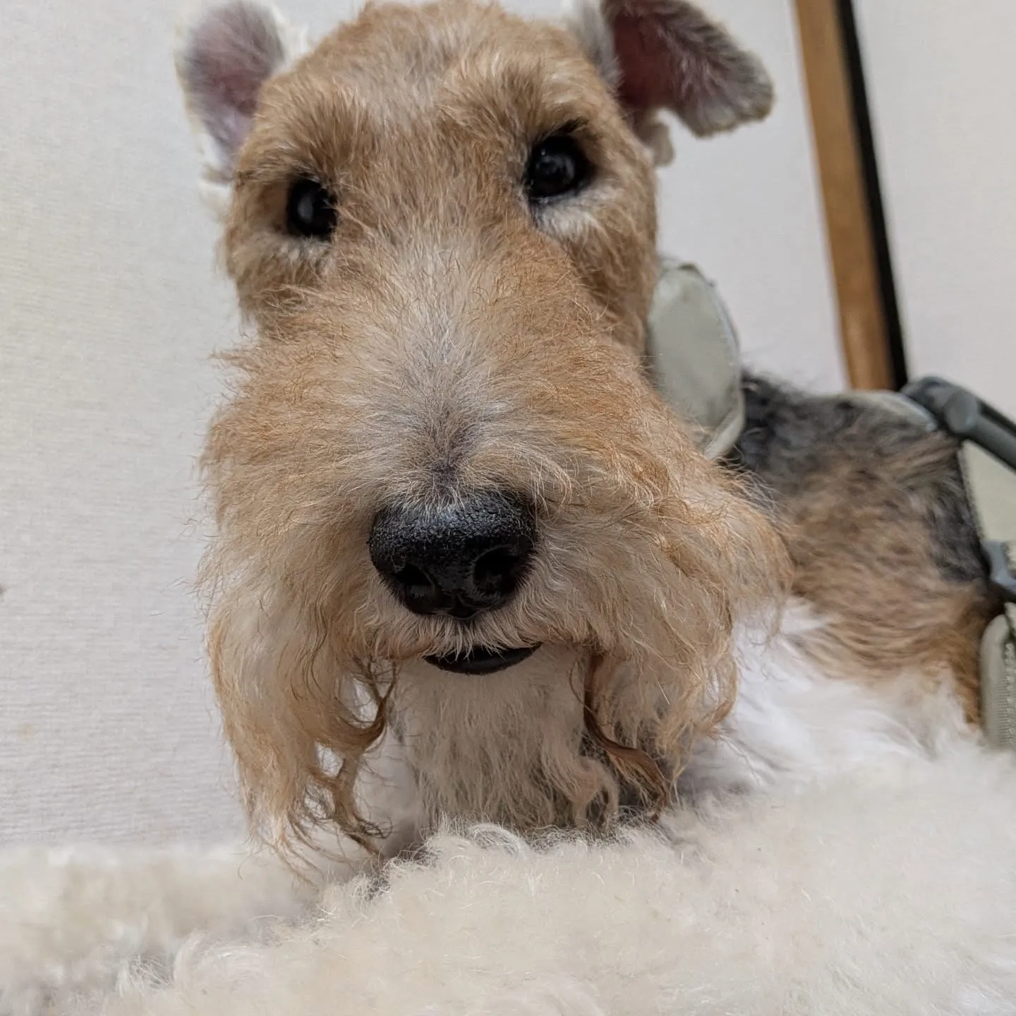 おはようございます！