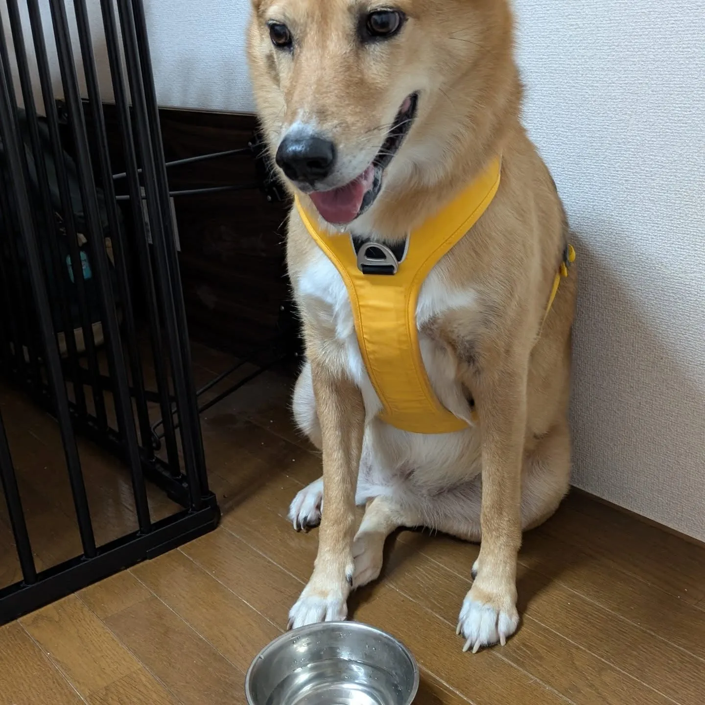 おはようございます！