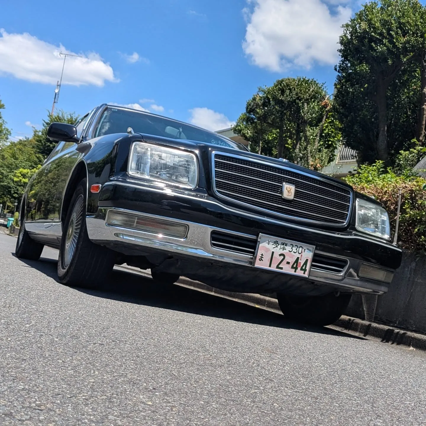 今日のお世わんこ。