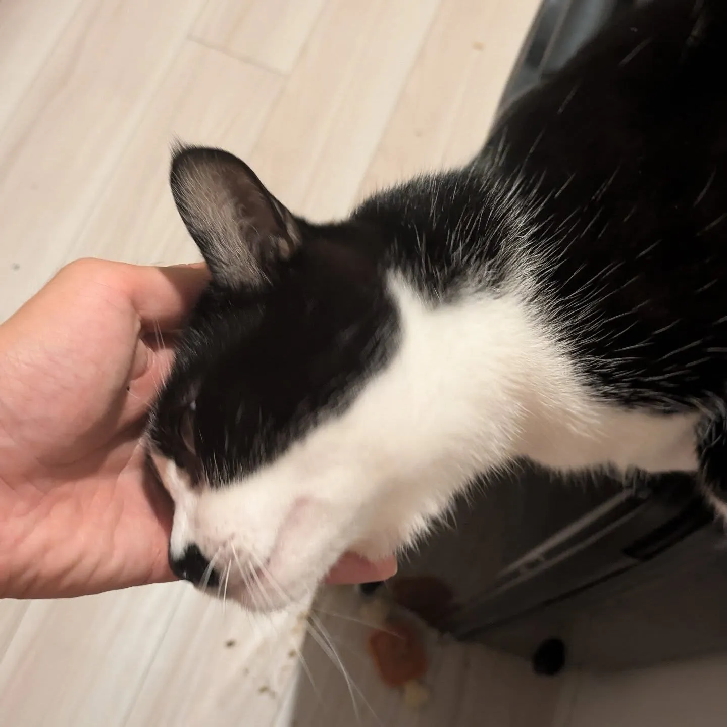 おはようございます！