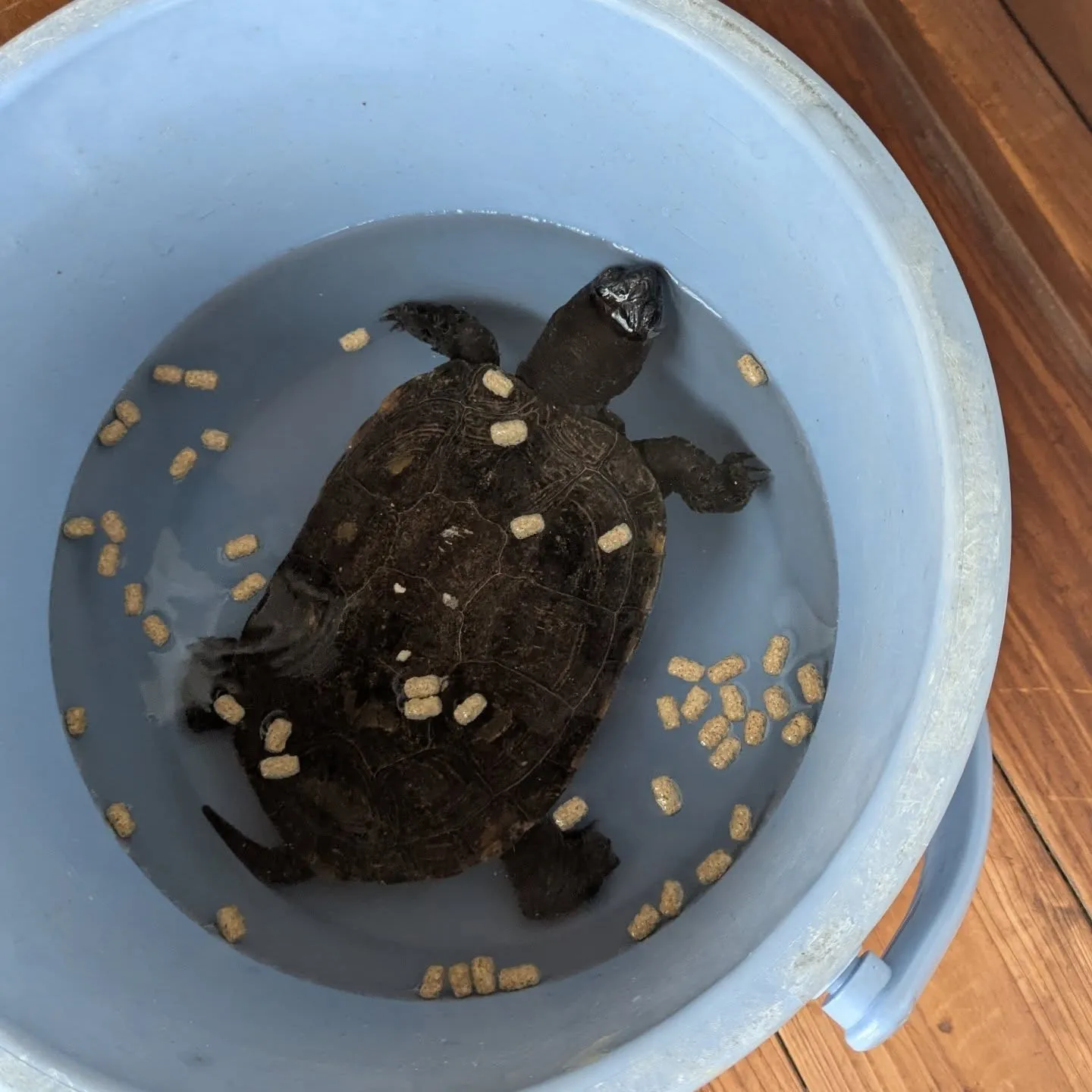 おはようございます！