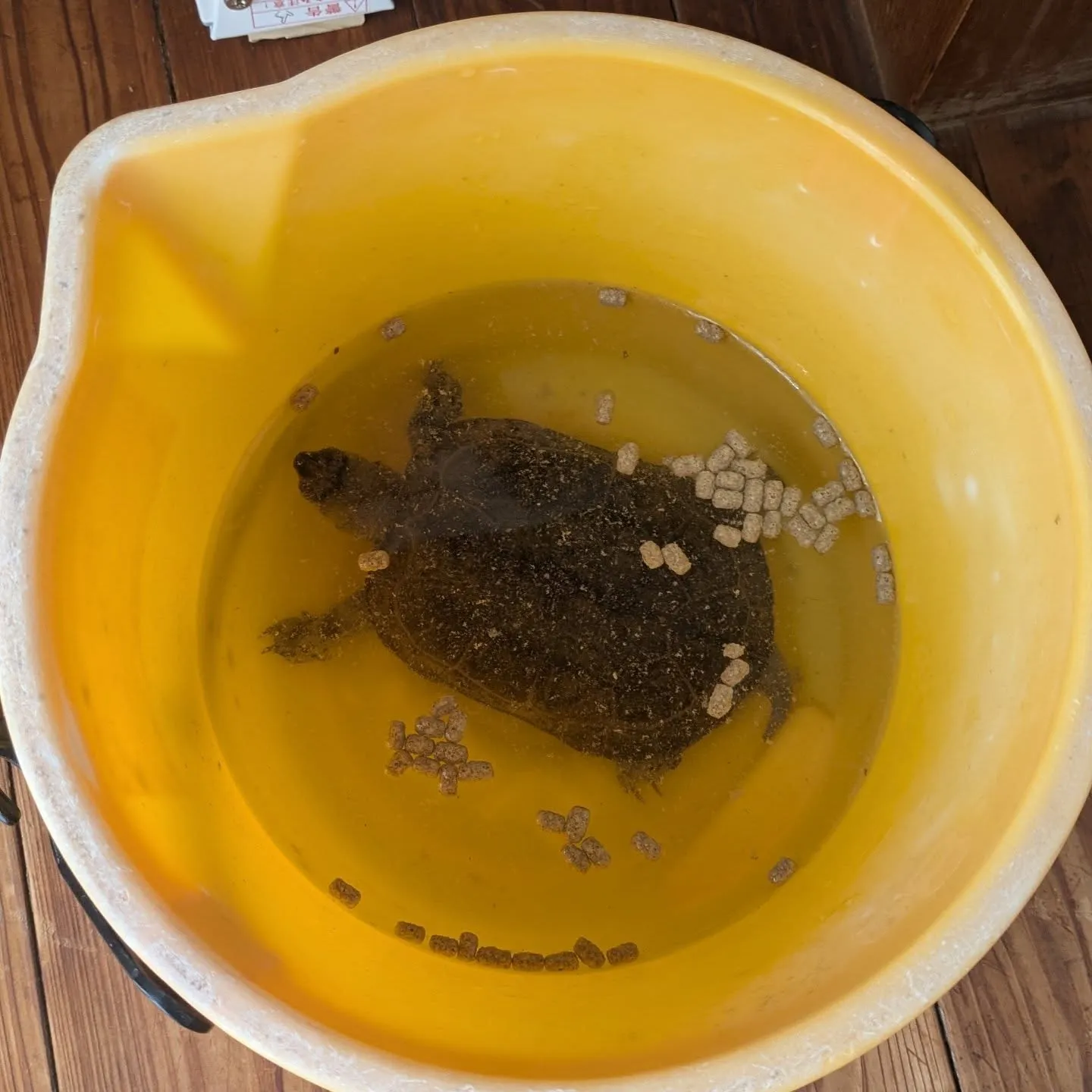 おはようございます！