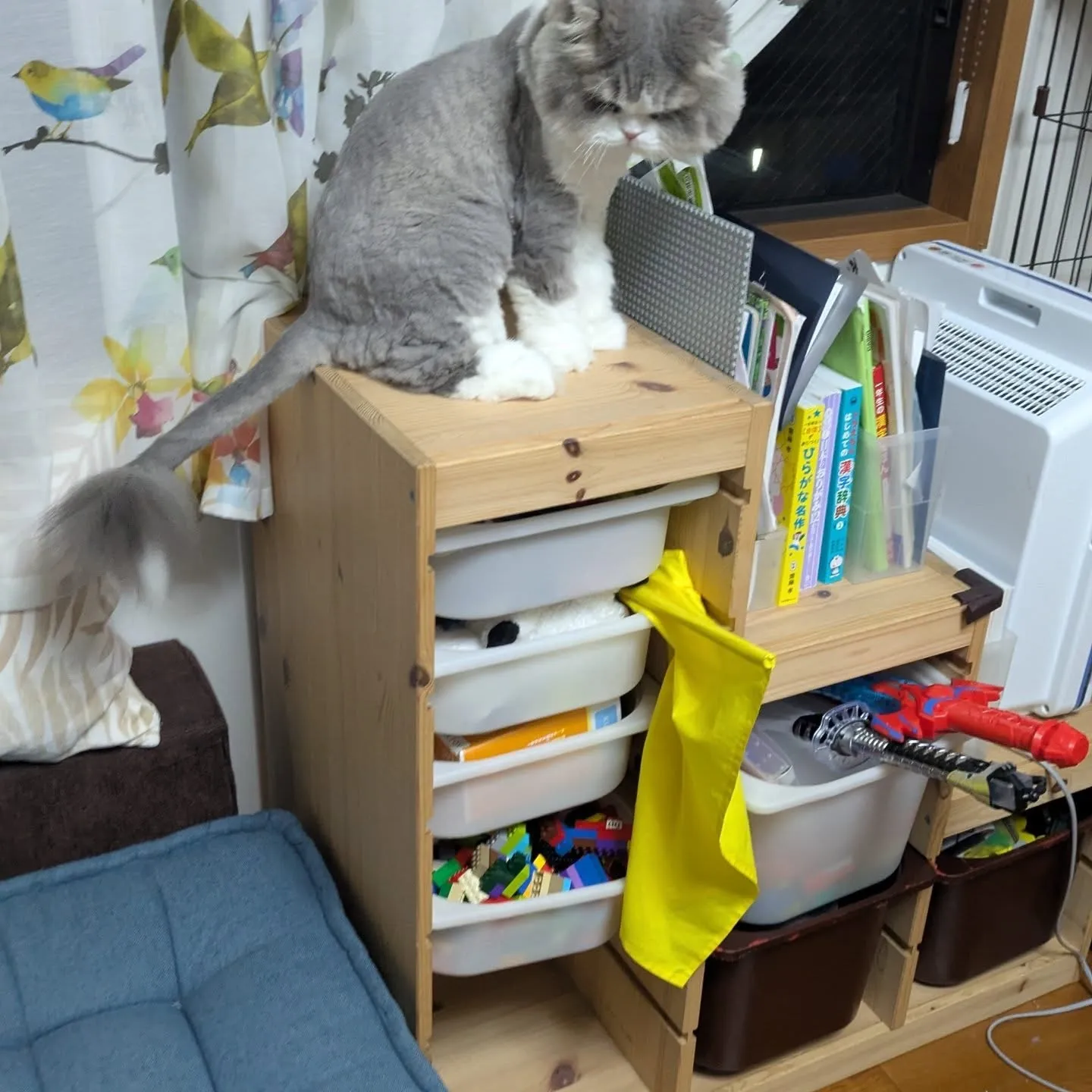 今日のお世話…(一部)