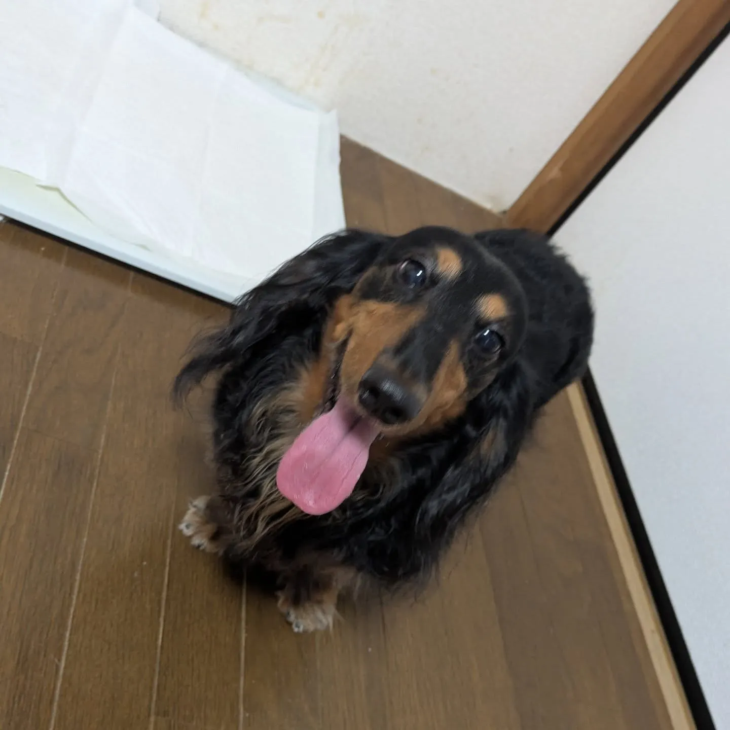 おはようございます！