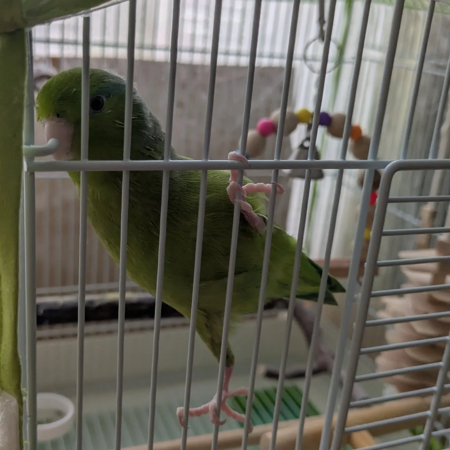 おはようございます！