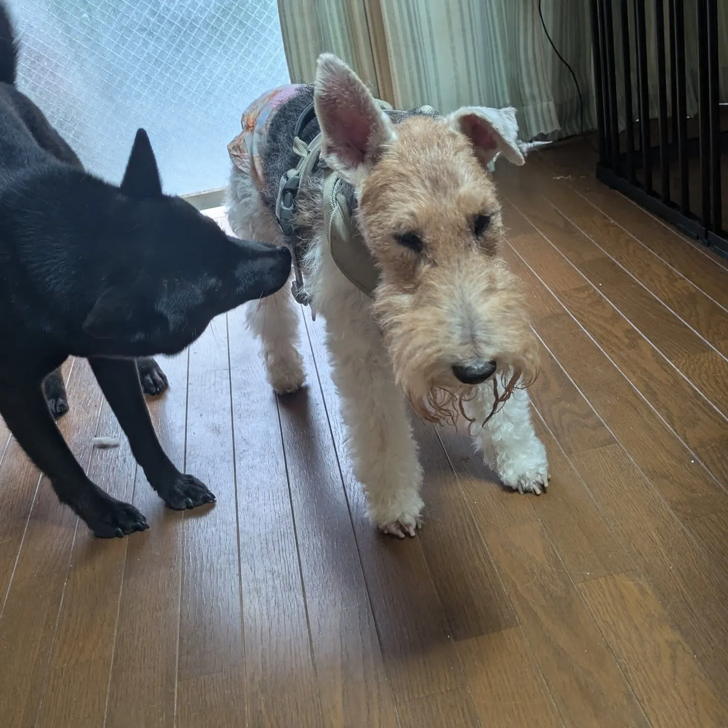 おはようございます！