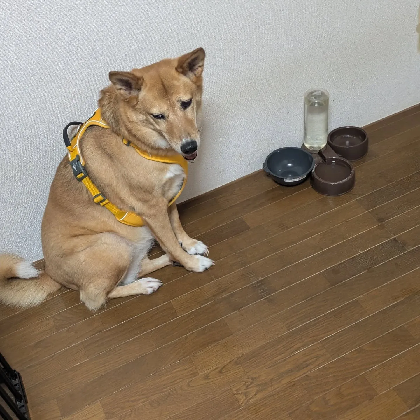 おはようございます！