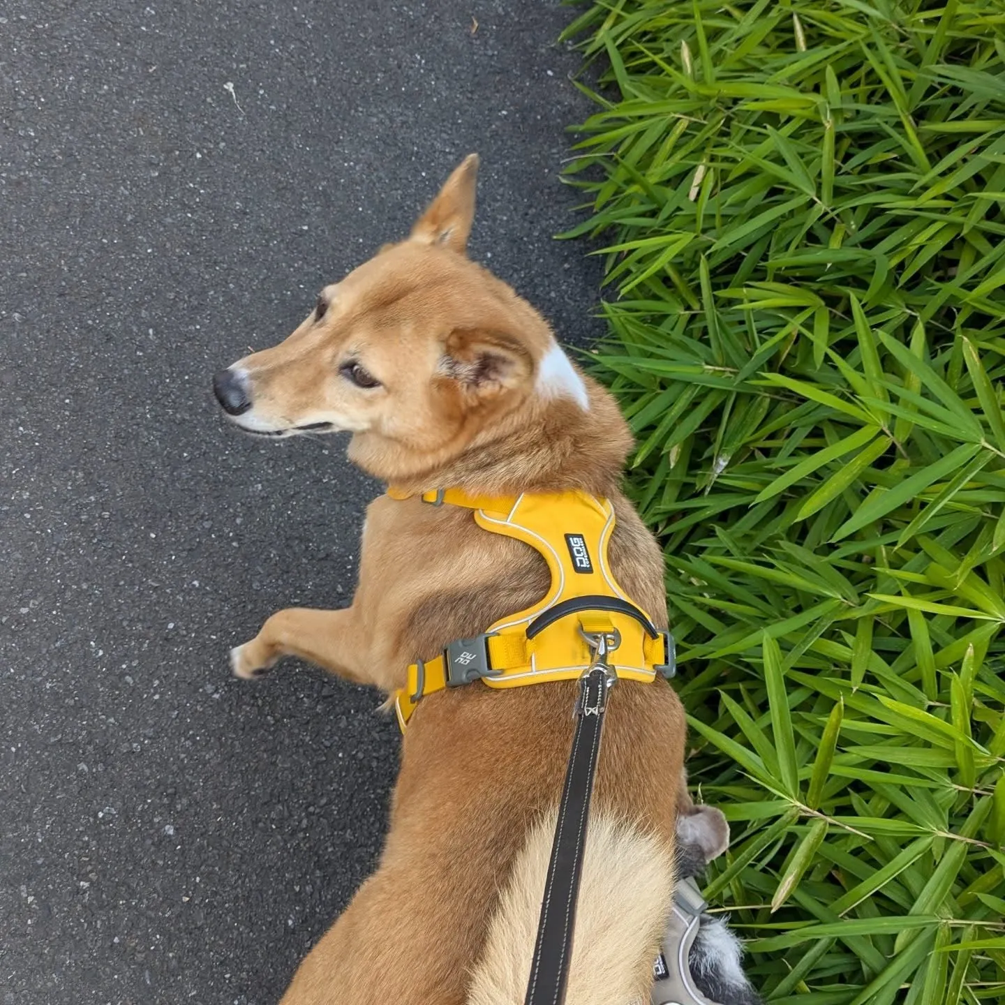 おはようございます！