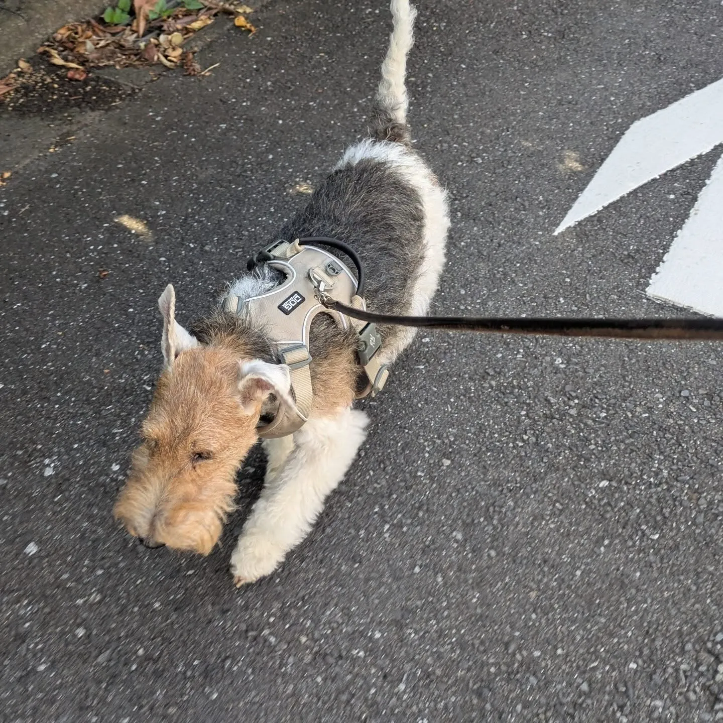 おはようございます！