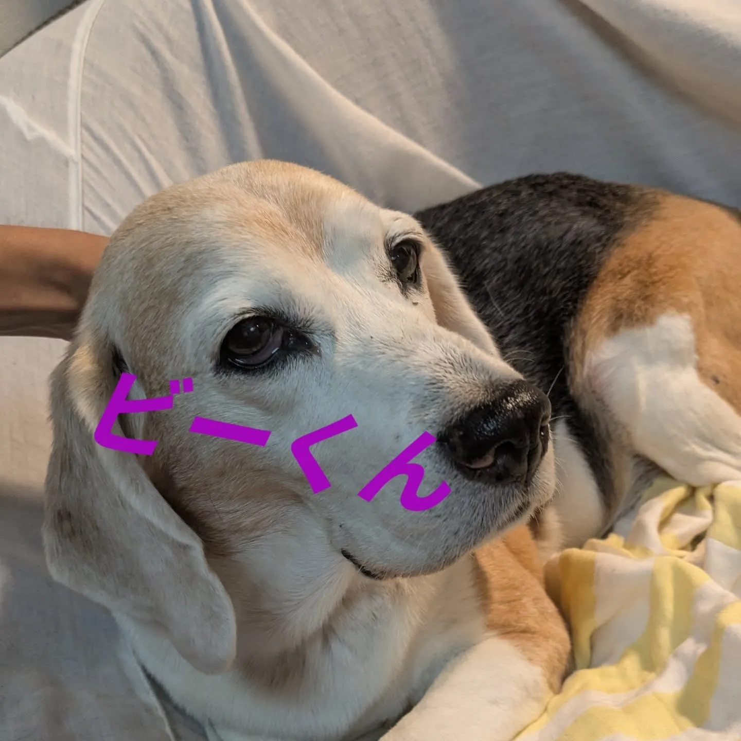 今日も一日おつかれっした。