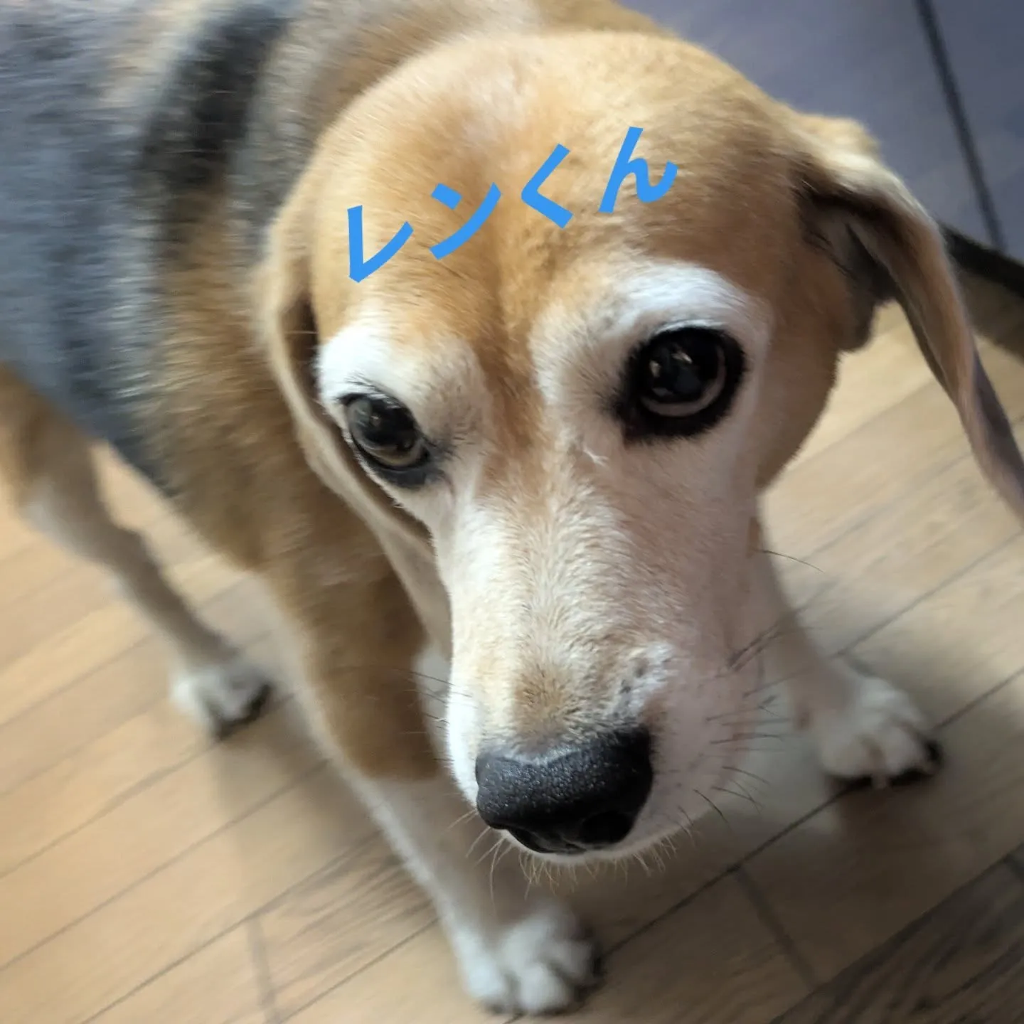 今日も一日おつかれっした。