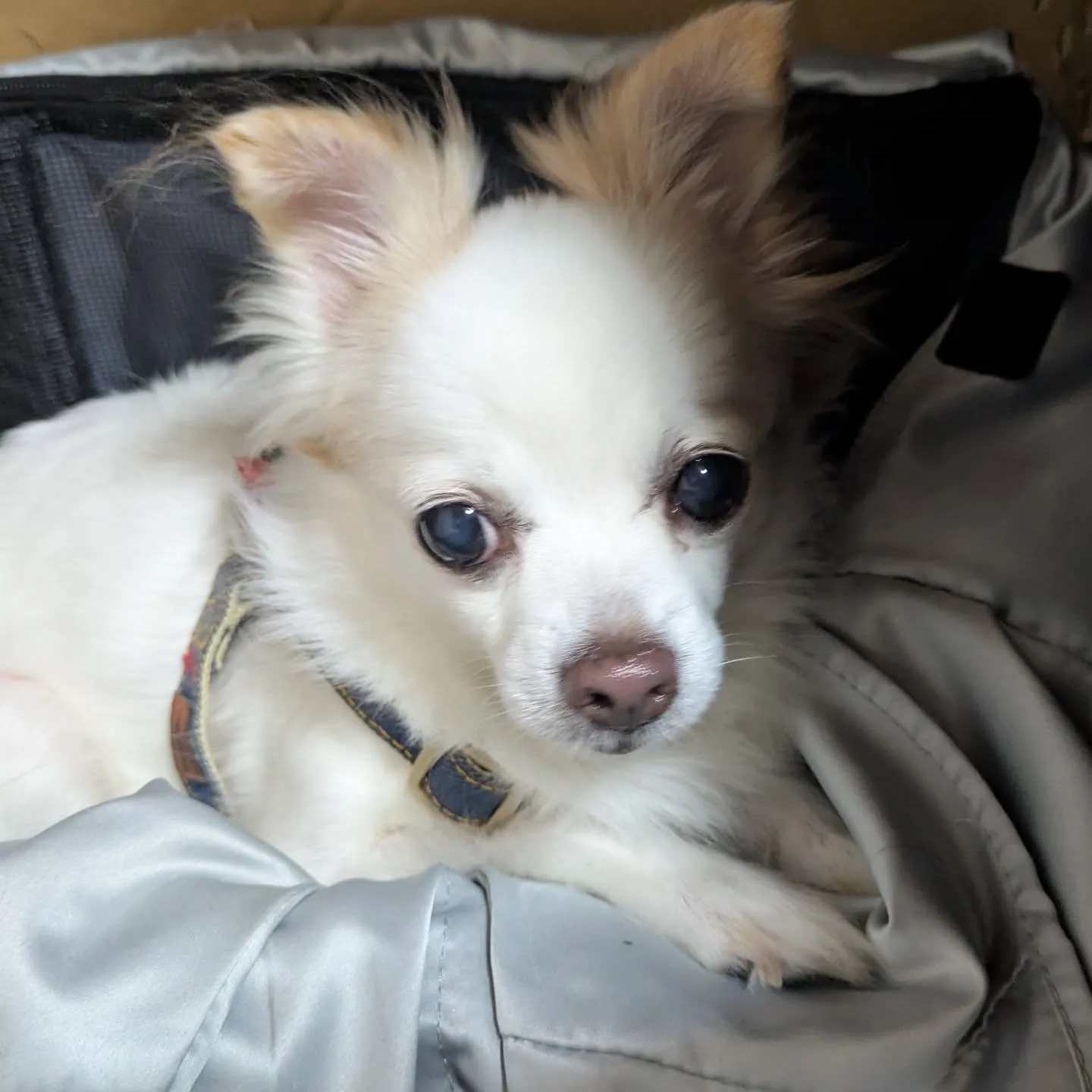 おはようございます！