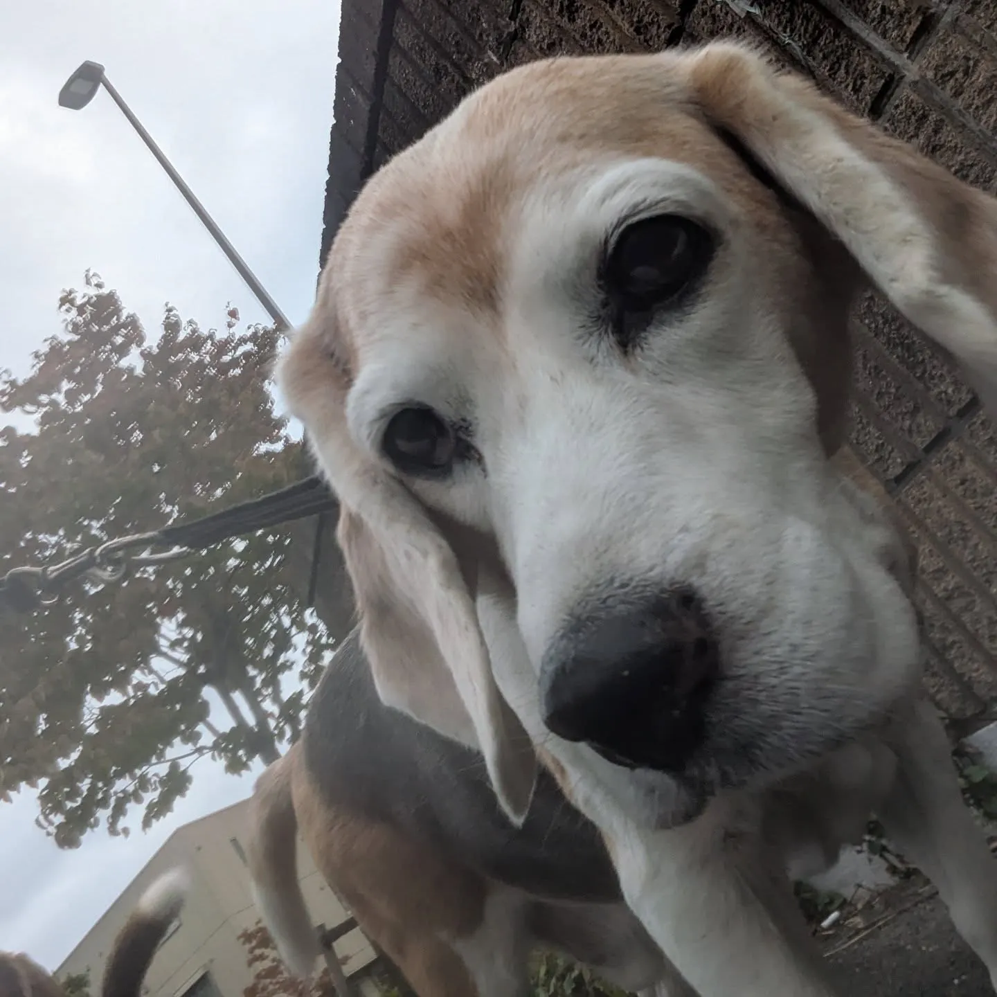 おはようございます！