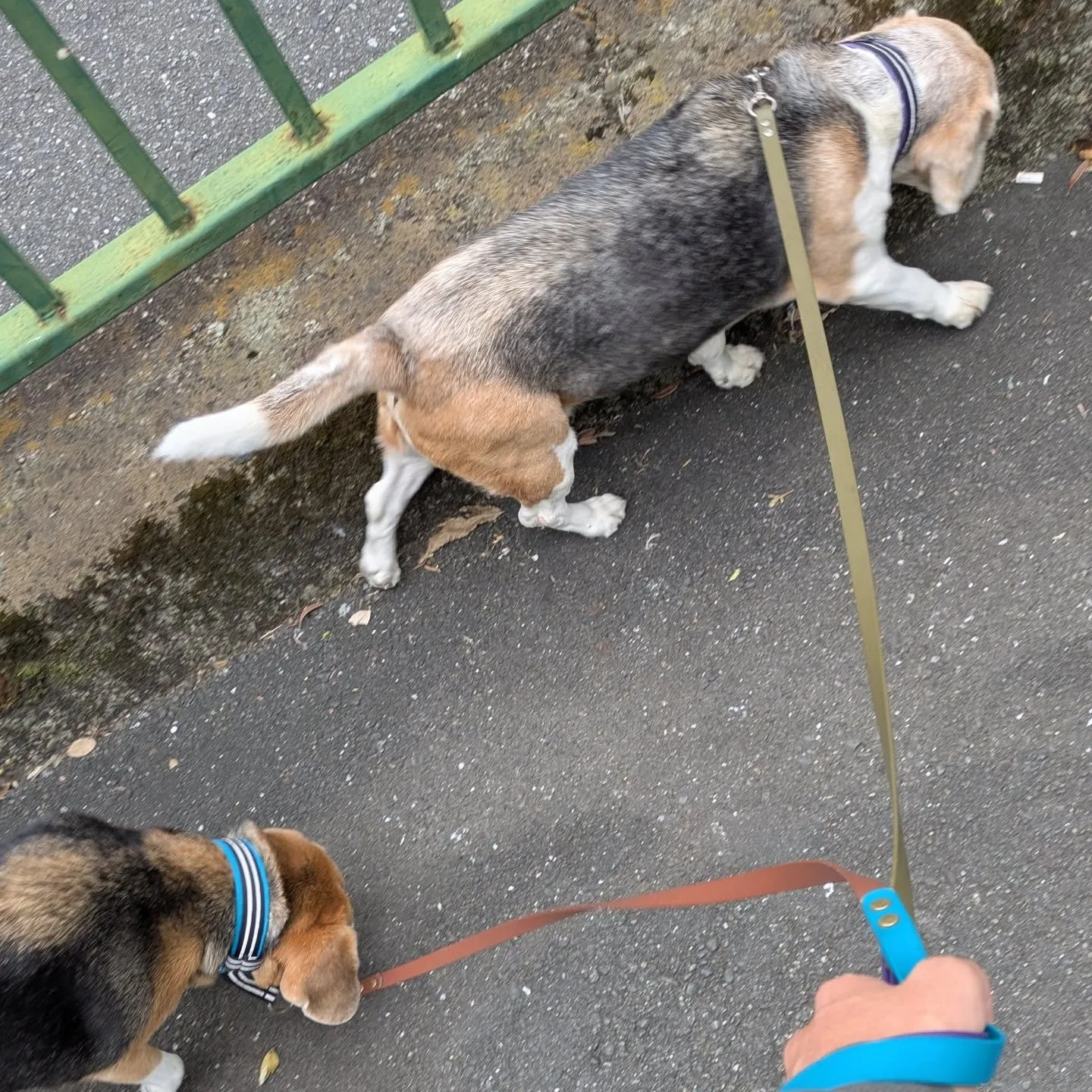 おはようございます！