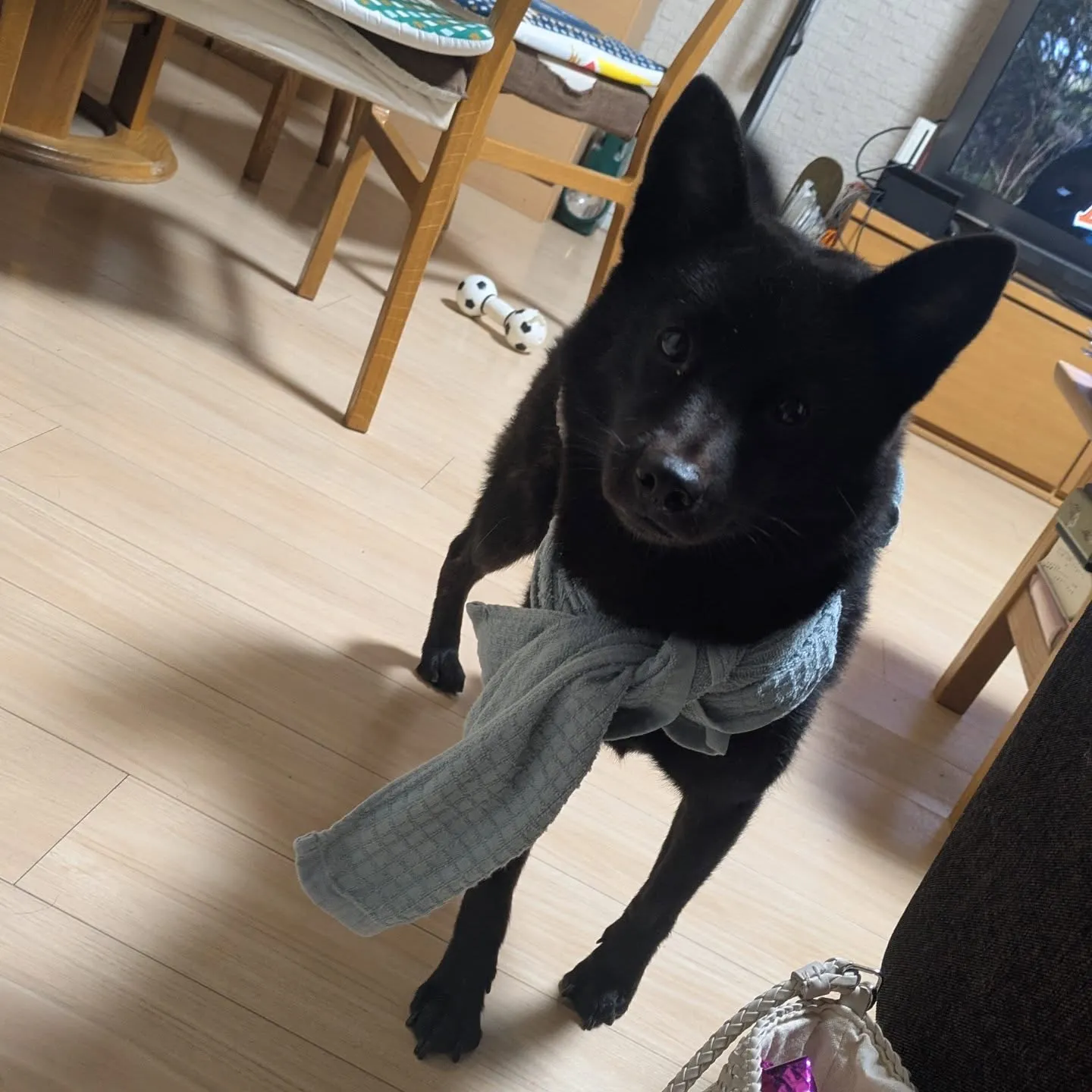 連携されないのでテストです！