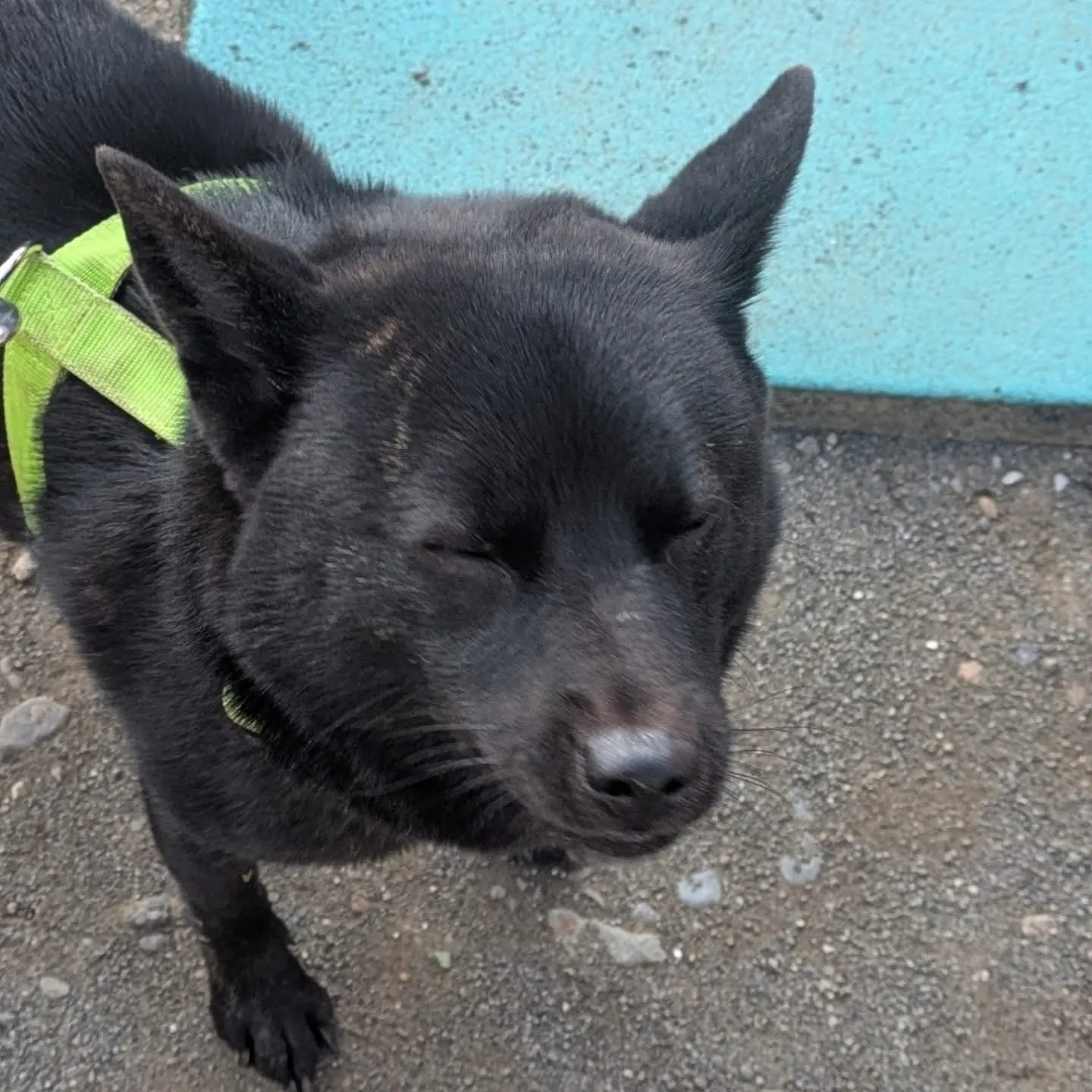 おはようございます！