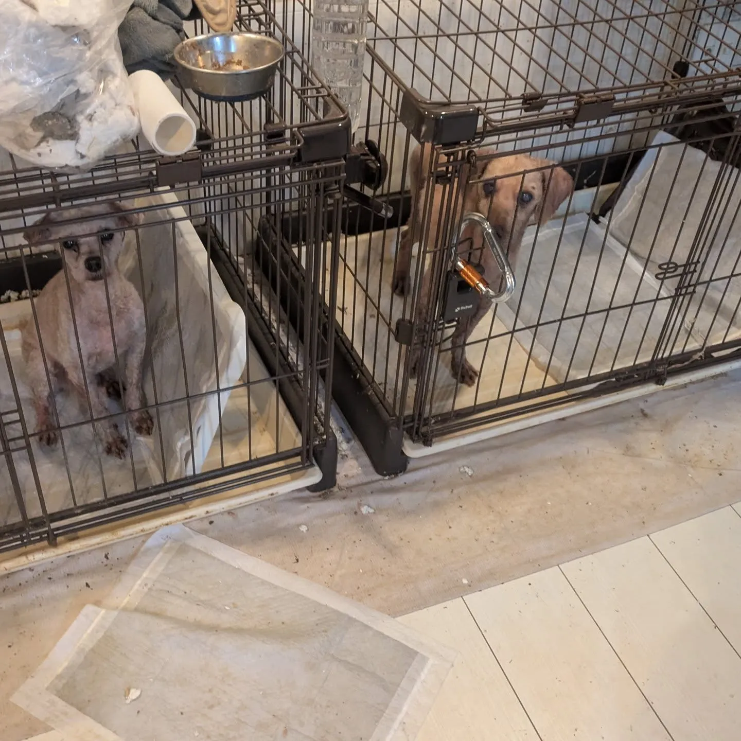 おはようございます！