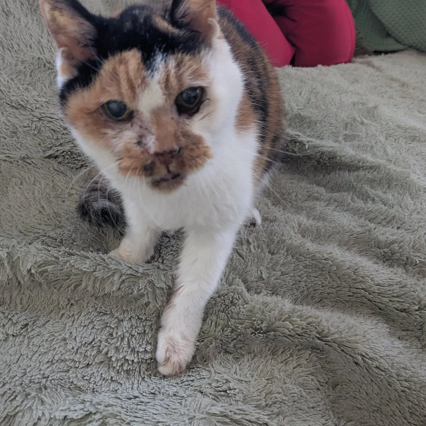 おはようございます！