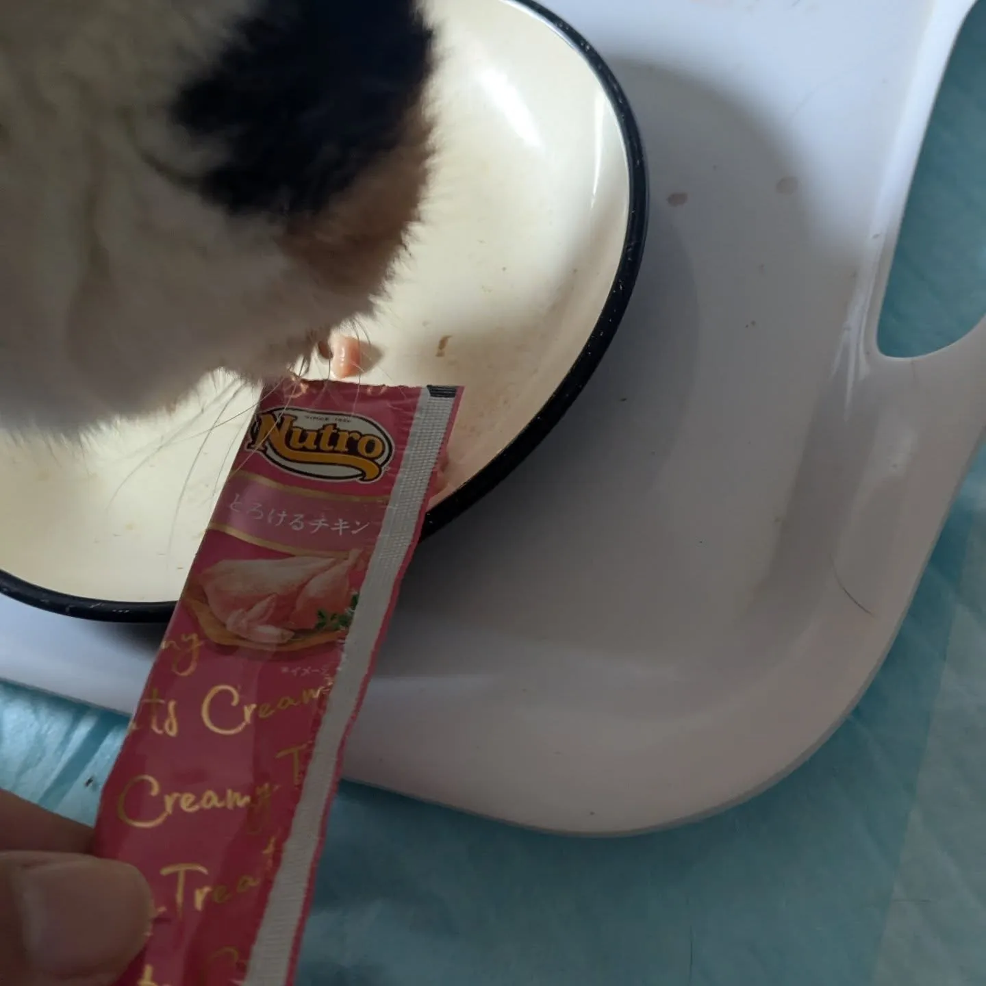 おはようございます！