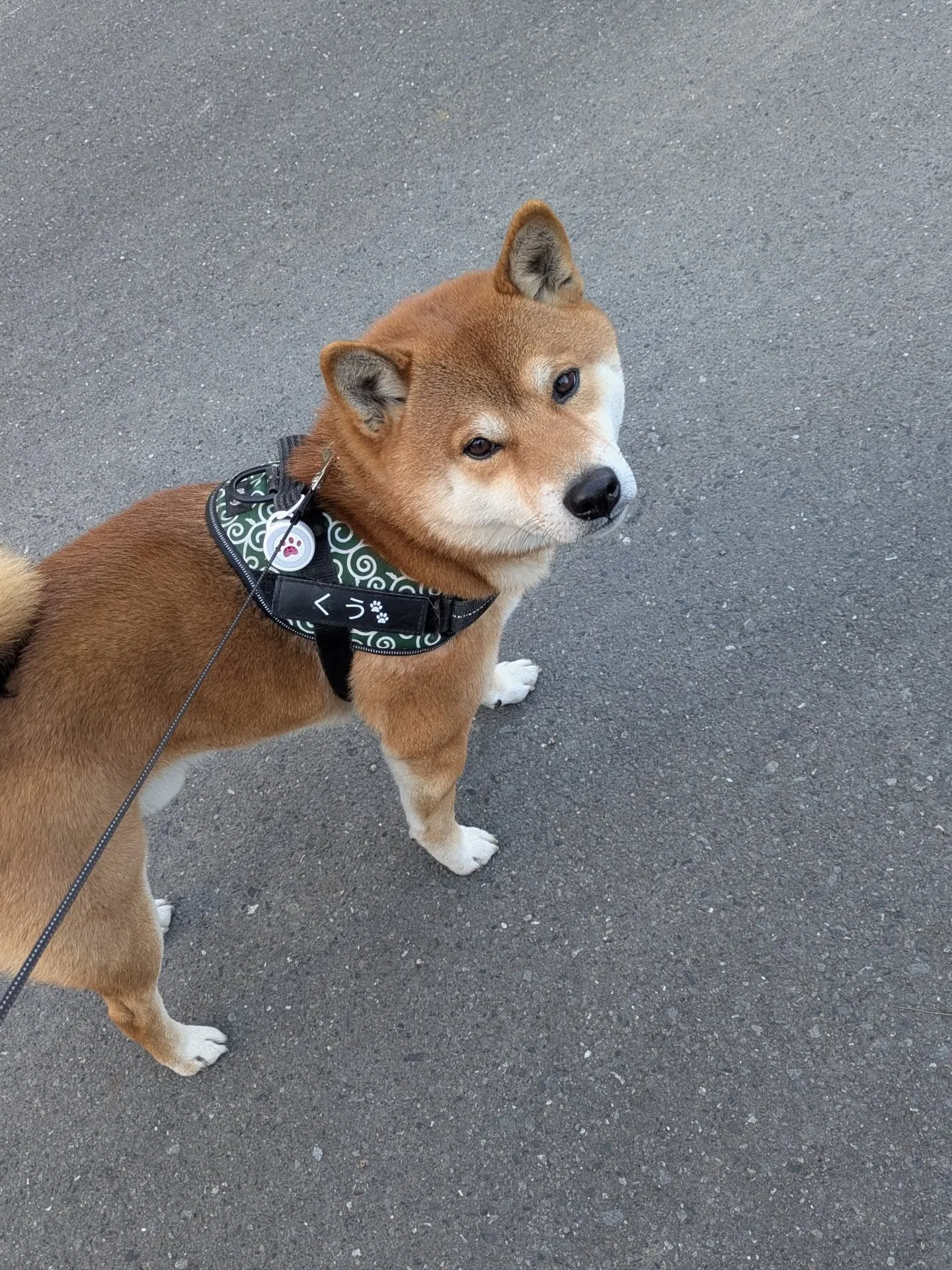 おはようございます！