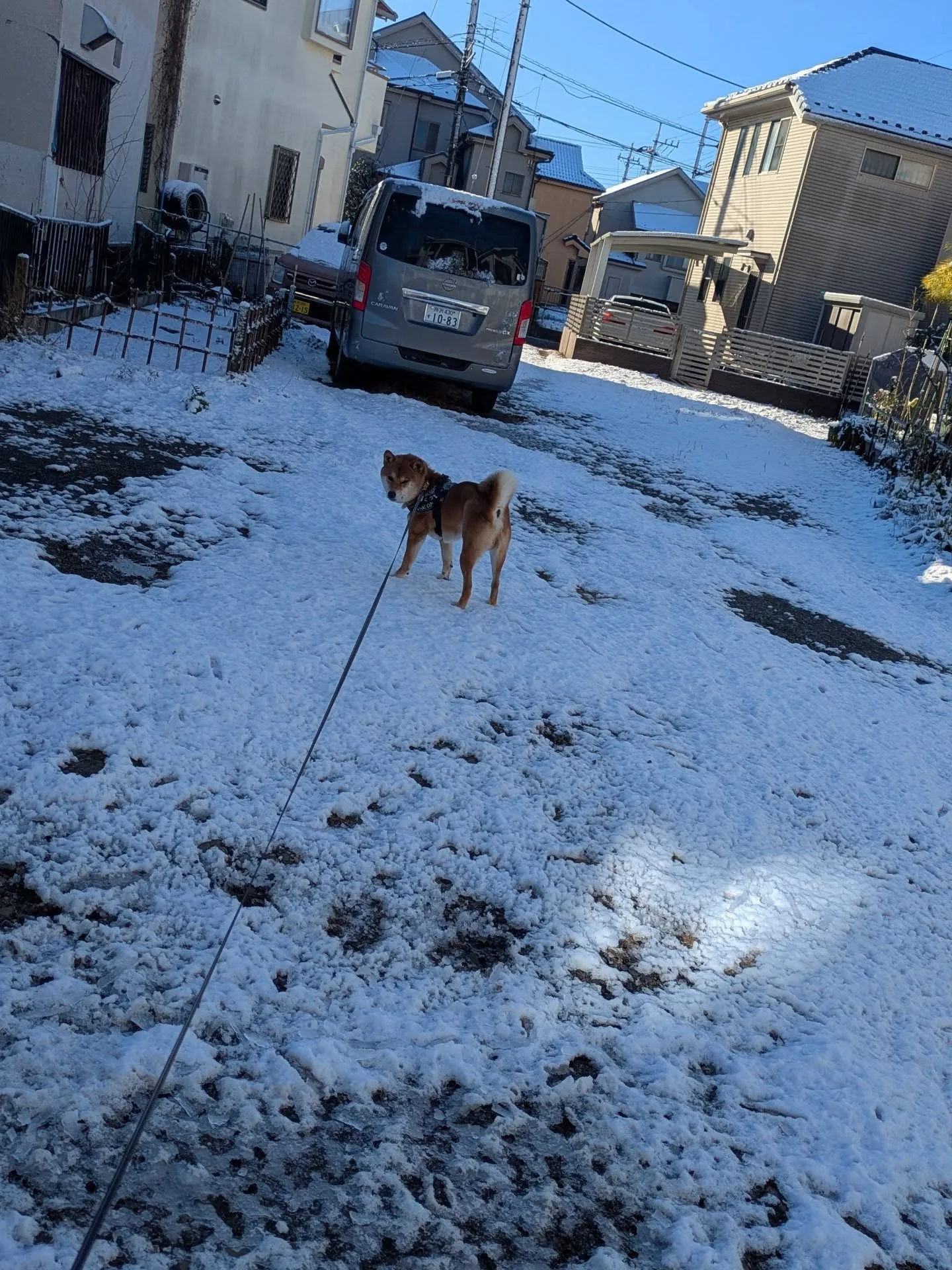 おはようございます！