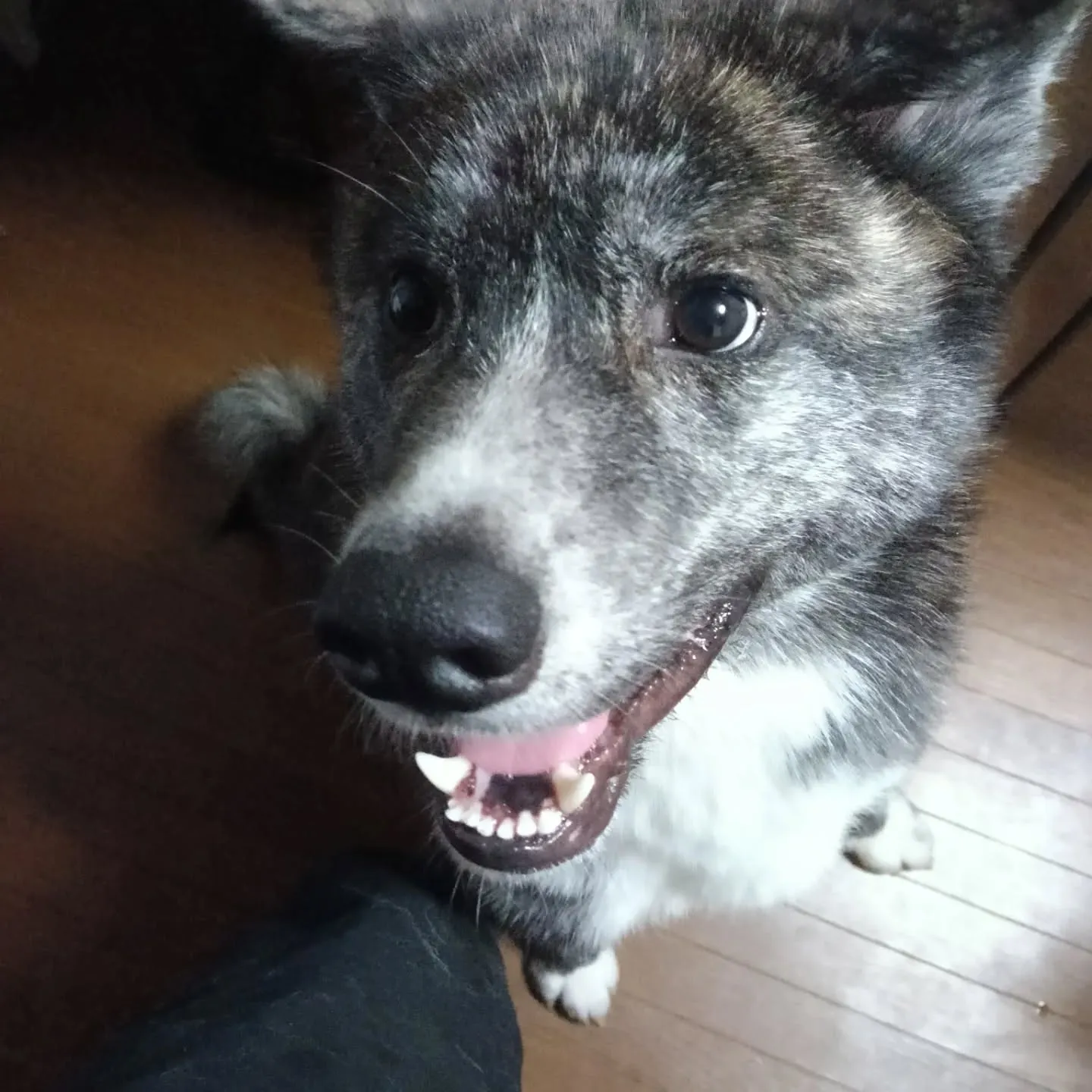 おはようございます！