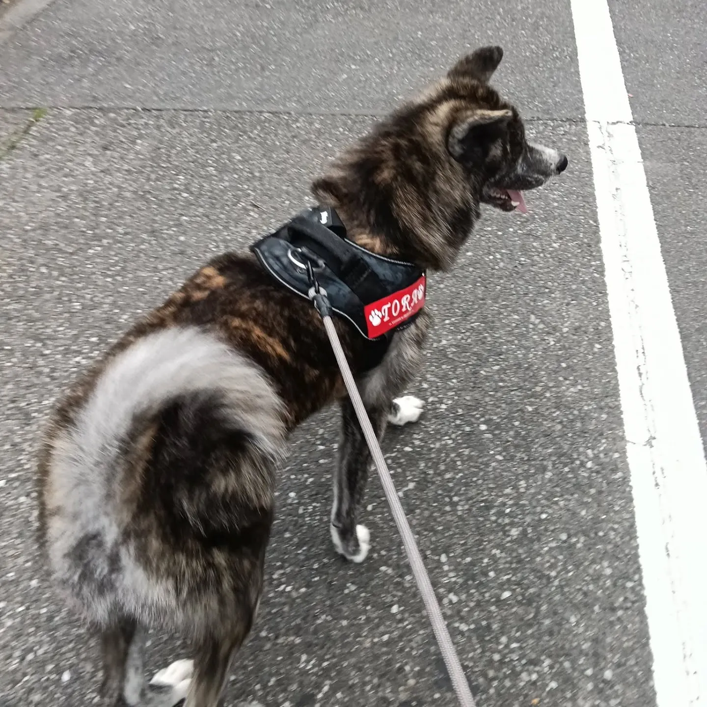 おはようございます！